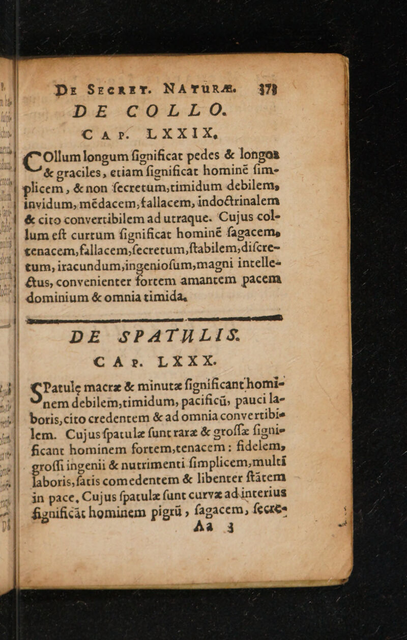 Dr SrceaET. NA TURAE. DE COLLO. C Ar. LXXIX, 37 &amp; graciles, eciam fignificat hominé fime. ,u » a S — at — — invidum, médacem,fallacem, indo&amp;trinalem &amp; cito convertibilem ad utraque. Cujus col- lum eft curtum fignificat hominé fagacem, tenacem,fallacem,;fecrecum,ftabilem;diícre- tum, iracundum,ingeniofum,magni intelle- &amp;us, convenienter forccm amancem pacem dominium &amp; omnia timida, —— AC e&amp;t DE SPATHLIS. CAr. LXXX. G Patulc macrz &amp; minutz fignificanthomi- nem debilem,;timidum, pacifici, pauci la- botis,cito credentem &amp; ad omnia convertibie lem. Cujusfpatulz funtrarz &amp; groffz fignie ficant hominem fortem,tenacem : fidelem, groffi ingenii &amp; nutrimenti fimplicem,multi laboris,fatis comedentem &amp; libenter ftácem in pace, Cujus fpaculz funt curva ad interius figuificát hominem pigrü » fagacem, Íeceree Àa i