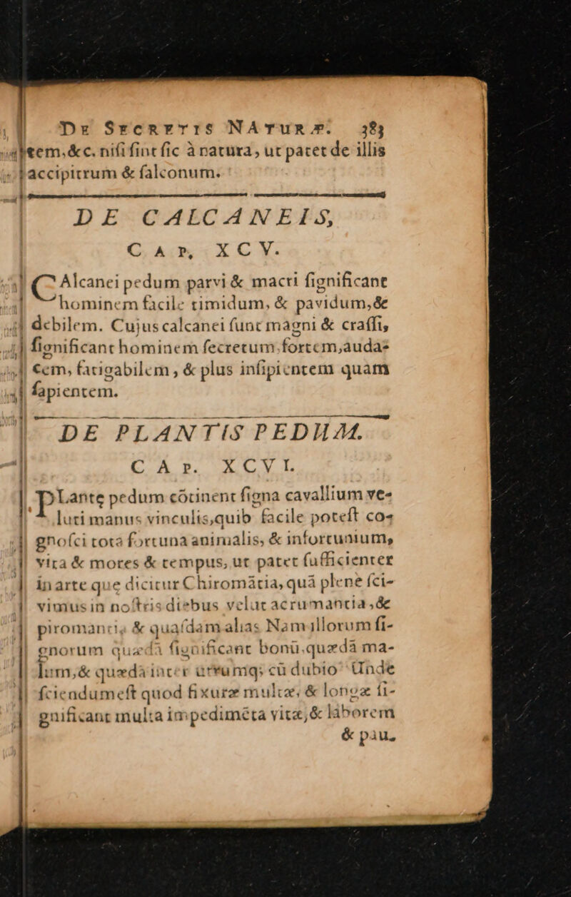 Dr Srcnvr:S NATUR. 38; item. &amp;c. nifi fint fic à natura, ut pacet de illis jJ accipitrum &amp; falconum. COOL Grau] DE CALCANEIS, C. A.*.X C Y. Alcanei pedum parvi &amp; macri fignificant ^hominem facile timidum, &amp; pavidum,&amp; | debilem. Cuius calcanei func magni &amp; craffi, |j fignificant homi: nem fecretum fortcm,audae €cm, facigabilem , &amp; plus infipicnocem quam il fapientem. ^ DE PLANTIS PEDHA. LA P9. AL V d | eg ante pedum cócinent figna cavallium ve- luti manus vinculis,quib &amp;acile poteft co« || gno(ci tota fortuna animalis, &amp; inforcunium, || vira &amp; mores &amp; tempus, ut patet (ufBiciencer ]| inarte que iron hiromà tia, quà [ plc ne íci- | vimusin no'trisc *bus velut acrumancia,&amp; || piroman:! &amp; i qu am alias Namaillorum fi- enorum qu is ificant bonü.quzdà ma- ]: m,&amp; quard: incer ürrumqs cü dubio Unde ll fcicadutr T XN fixurz mulca, &amp; lo nea Í1- | gnificant multa impedimeta vitz;&amp; ! láborem &amp; piu.