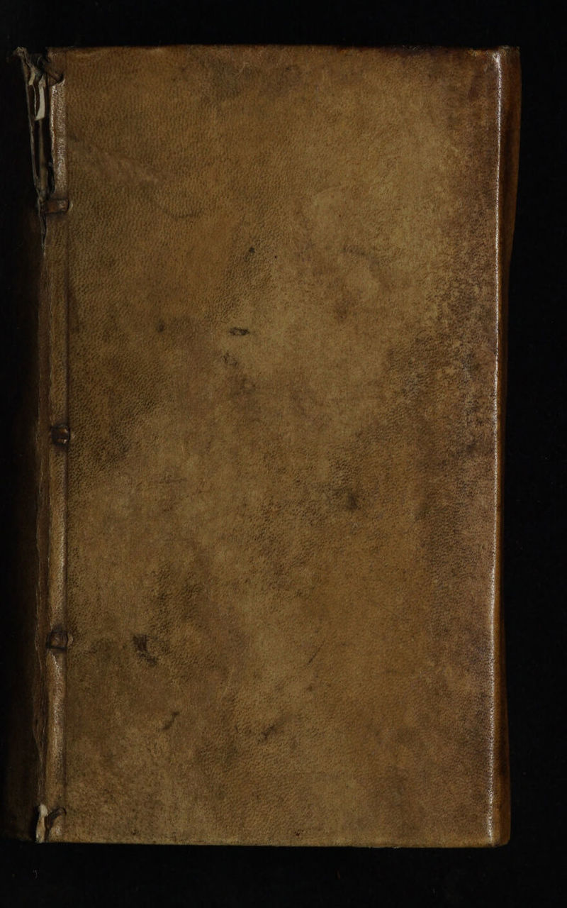 No text description is available for this image