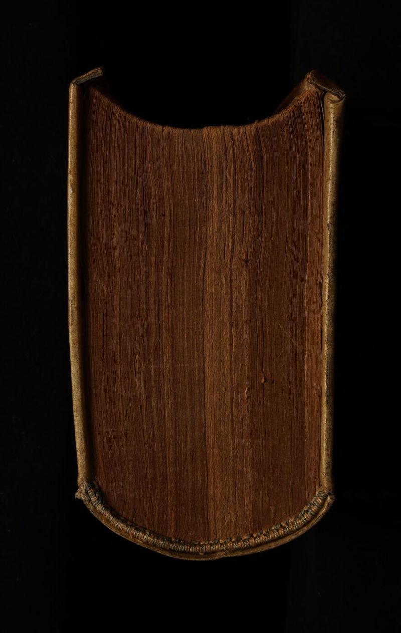 No text description is available for this image