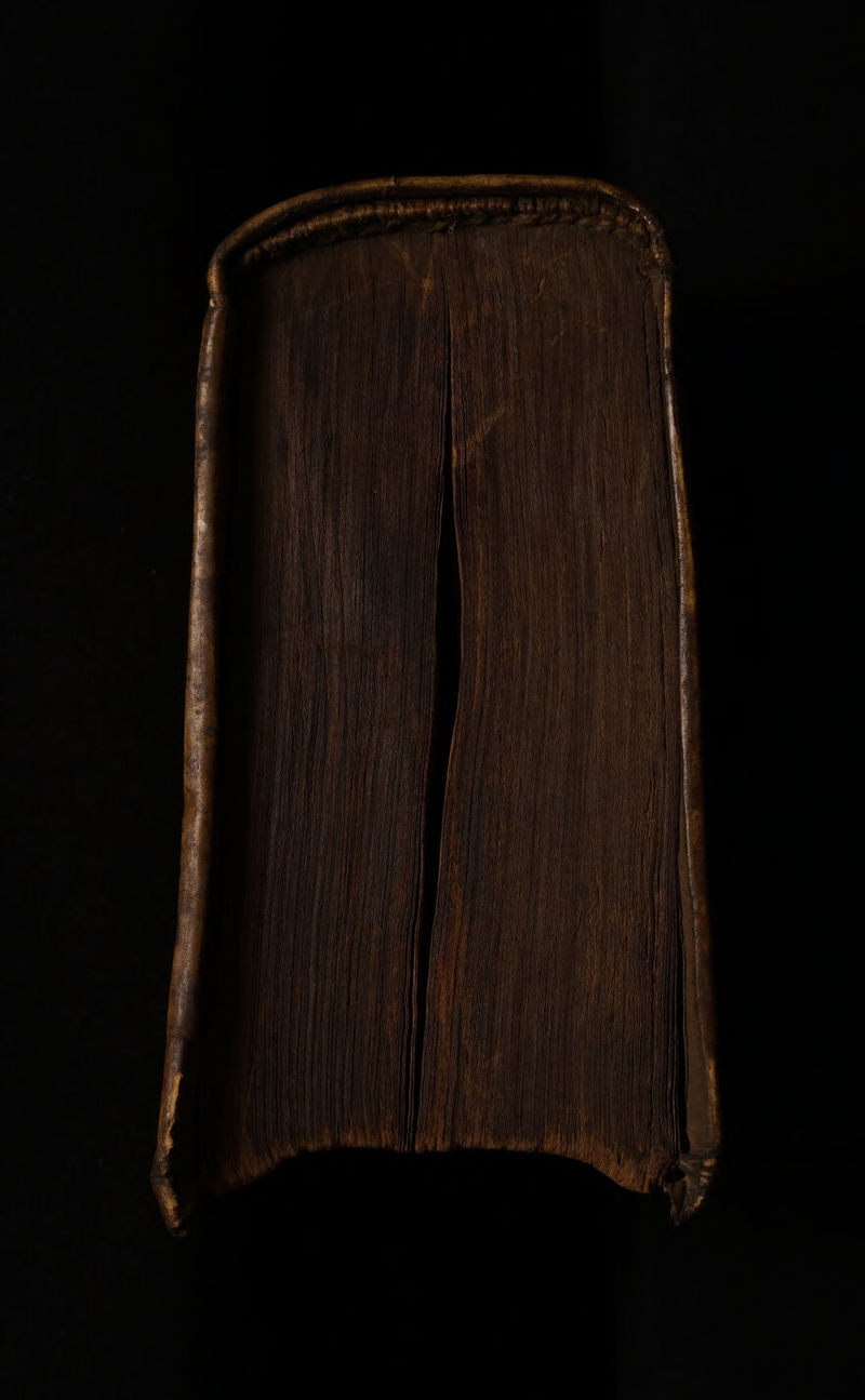 No text description is available for this image