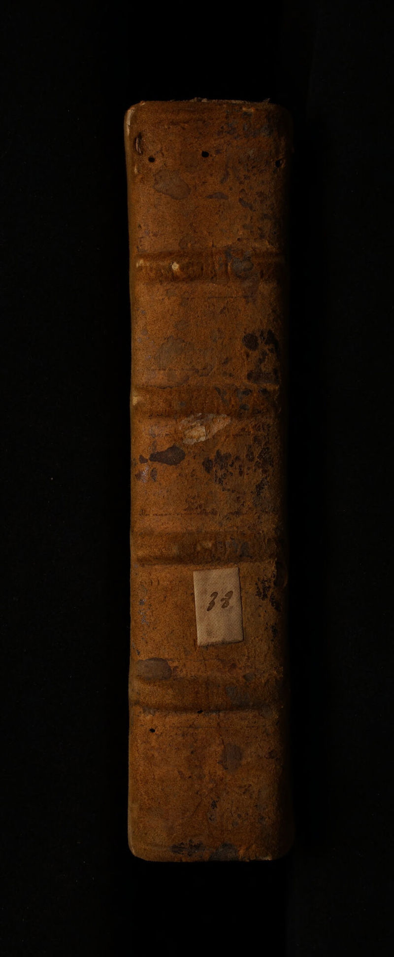 No text description is available for this image