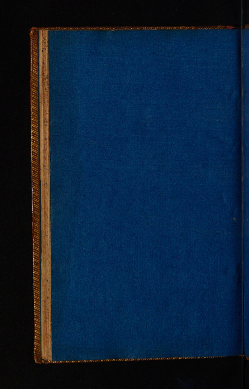 PHECLE LE LE LL LEE V'/2X JE LE LEE 13 LIT IITIIT DIT PTT PTT IT IE Te