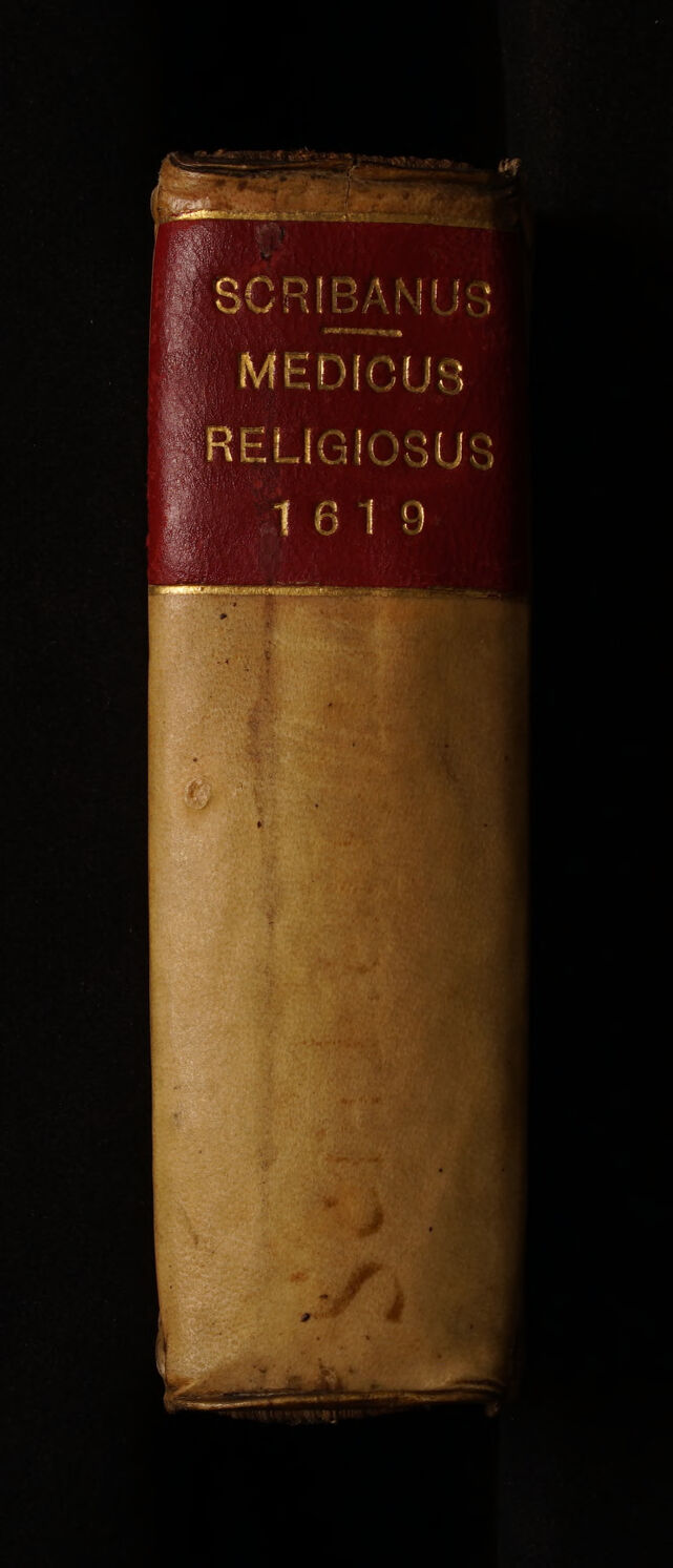 No text description is available for this image