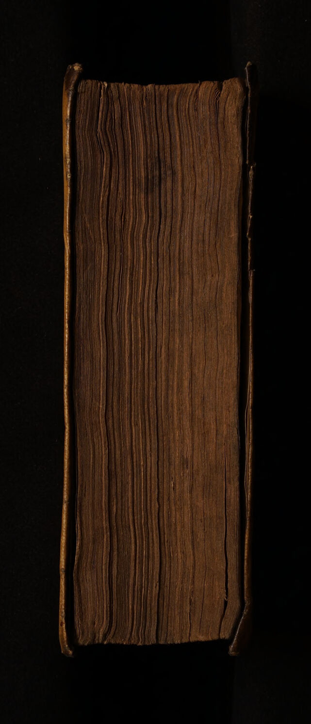 No text description is available for this image