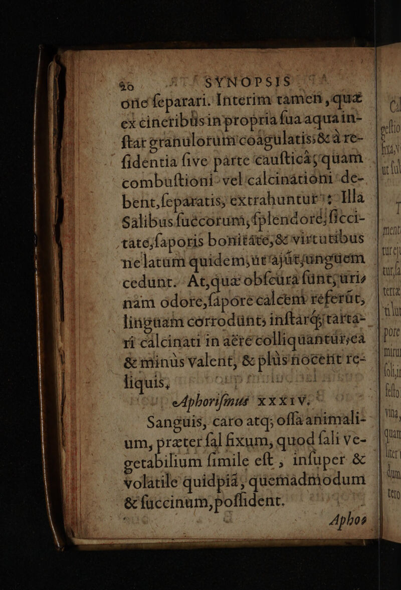 $6 AUTf SYNOPSIS orie feparari. Interim tameii qu ex cineribusin propria fua aquain- ftát eranulorum coagulatis;&amp; àre- combauftioni- vel.calcinadon 'de- bent.feparatis; extrabuntut?t Illa Salibusfuécorum;fplendore; ficci- tatée;faporis bonitáté,;8z virtutibus cedunt. At;qua' obfcura fünt;urie lingaam cerrodünt inftardjtarta- ri cálcinati in acte colliquantür;ea &amp; minus valent, &amp; plüs'fiocetit re- fiuit; t ESDQHE BOUE Cut edpborifmus xx X1V. ^ Sanguis, caro atq; offa animali- um, prater fal &amp;ixum, quod fali ve- getabilium fimile eft ; infuper &amp; volatile quidpia quemadmodum &amp; füccinum;pofhdent. rM €T ! TTL Qeonnrm vmm