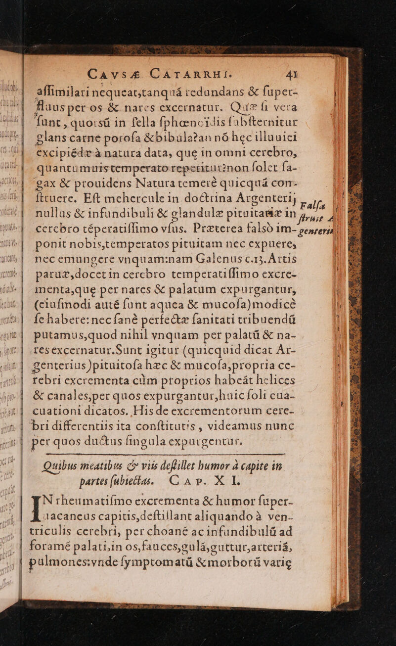 j | Ul) dila -—— s —ÀÀÀ—À | ELLO - 3 E iv 3 | | | | | | | jor a ni: | | | | | 2 SEE 1| Cavs&amp;&amp; CATARRHI. 41 affimilari nequeattanquá redundans &amp; fuper- fluus per os &amp; nares excernatur. Quim ái vera Tunt, quo:sü in fella fphaencidis fabfternitur g Ehes carne porofa &amp;bibala?an nó hec illuuiei excipiédit à natura data, que in omni cerebro, quantu muistemperato reperizutnon folet fa- gax &amp; prouidens Natura temere quicquá com- fttuere. Eft mehercule in doctrina Argenteri; ponit nobis,temperatos pituitam nec expuere, nec emungere vnquam:nam Galenus c.13. À rtis paruz,docet in cerebro temperati(fimo excre- menta,que per nares &amp; palatum expurgantur, (eiufmodi auté funt aquea &amp; mucoía)modicé fe habere: nec fané perfe&amp;e fanitati tribuendü putamus,quod nihil vnquam per palatü &amp; na- resexcernatur.Sunt igitur (quicquid dicat Ar- genterius)pituitofa hzc&amp; mucofa,propria Ces rebri excrementa ciim ptoprios habeát helices &amp; canales;per quos expurgantur,huicíoli eua- cuationi dicatos. His de excrementorum cere- pet quos ductus fingula expurgentur. Quibus meatibus c viis defillet bumor à capite in partes (ubieilas. C A p. X I. N rheumatifmo excrementa &amp; humor fuper lacaneus capitis, deftillant aliquando à ven- foramé palati, in osfauces,g gulá;guttur;atteriá, P» zw