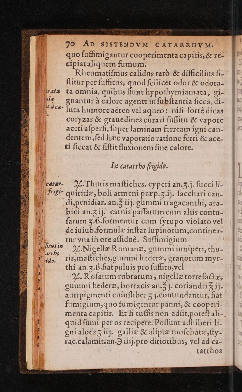 Pd Td ^ 70 Án SISTENDVM CATARRHY M. quo fuffimigantur cooperimenta capitis, &amp; re- cipiataliquem fumum. | Rheumatifmus calidusraró &amp; difficilius fi- ^ || '' ftitur per fuffitus, quodfcilicet odor&amp; odora- ||; w4t4 ta omnia, quibus fiunt hypothymiamata, ei- |? ^ gnantüràcalore agente in fubftantia ficca, di- Ij. ^ luta humoreaéreo vel aqueo: nifi fortédicas | i coryzas &amp; grauedines curari fuffitu &amp; vapore | | | aceti afperfi, füper laminam ferream igni can- N dentem,fed hec vaporatio ratione ferri &amp; ace- li | ti ficcat &amp; fiftitfluxionem fine calore. DUE Ia catarrho frigido. licata- — DL. Thuris maftiches, cyperi an..j. fucci li- Ns frigi- quiritiz, boli armeni prz p.z.ij. facchari can- NW! dipenidiar, an.2 iij. gümmi tragacanthi, ara- jt bici an.51j. carnis paffarum cum aliis contu- farum 2.5.formentur cum fyrupo violato vcl dciuiub.formulz inftar lupinoruüm,continea- | | tur vna in ore affidué. Sufhimigium p 27.Nigellz Romanz, gummi iuniperi, chu- fg, rsmafüches gummi hederz, granorum myr- (i thi an.5.f.firat puluis pro fuffitu,vel - 27. Rofarum rubrarum , nigellztorrefactz, EX -. TUTTA [ gummi hederz, borracisan.Zj.coriandriZij. | hi auripigmenti cüiuflibet z j.contundantur, fiat — | n fumigium,quo fumigentur panni, &amp; cooperi- . | menta capitis. Et fi tuffisnon adfit;poteftali-, | : quid fumi per os recipere. Potfunt adhiberi li- 1 enialoésziij. galliz &amp; aliptz moíchataz,fty- rac.calamit;an.9 iiij.pro ditioribus, vel ad ca- | tarrhos e NES Cu SUT$ me pecus