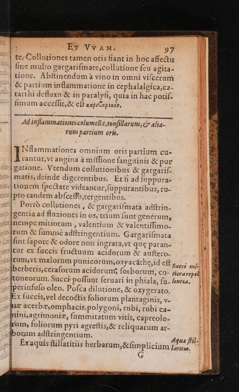 T NET Rura |^ CMTUUUOEWO OWN Y AW | /97 | te- Collutiones tamen otis fiant in hoc affectu fine multo gargarifmate,collutione feu agita- | | tore. Abttinendumà vinoin omni vifcerum 7] '&amp; partium inflammatione in cephalalgica;ca- ^4 tarrhi defluxn &amp; in paralyfi, quia in hac potif- | i 4 fimum acceffit, &amp; e(t xxpiGapincp, i AES EU CNURUESMUNIEION -—]. 4Adinflammationescolumelle,tenfillaruta c? alia. | YUm partium oris. Nflammationes omnium oris partium cu- À rantur, vt angina à miffione fanguinis &amp; pur Qi | gatione. Vtendum collutionibus &amp; gargarifz 11! | matis; deinde digerentibus. Etíi ad Íuppuras | tionem fpectare videantur, (uüppurantibus, ru- M iiJpto:candem abfceffa;tereentibus. : | i| Perró collationes , &amp; garearifmata adftrin- | gentia ad fluxionesin os, trium (ünt genérum; | impnempe mitiorum , valentium &amp; valentiffimo- i irum &amp; fumme adftringentium. Gargariífmata | inffint fapore &amp; odore non ingrata,vt que paran- an cur ex fuccis fru&amp;uum acidorum &amp; auftero- «|rum;vt malorüm punicorüm;oxyacáthie,id cft Sdrci mi |berbcris,ceraforum acidorums forborumi, co- tior a repel in ftoneorum. Succi poffunt feruari in phiala, fu- escis. — | wiperinfufo oleo. Pofca dilutione, &amp; OxXygerato. Ex fuccis,vel deco&amp;tis foliorum plantagiris, v- sua acetbz,omphacis;polygoni, tübi, rubi ca- Inini;aerimoniz, fümmitatum vitis, capreolo- irum; foliorum pyti agreftis,&amp; reliquarum ar- (borum adítringentium. | Exaquis ftillatitiis herbarum,&amp;fimplicium qua ftil-. latitie. uv BU PARC AEPCET WIES. B efe SION