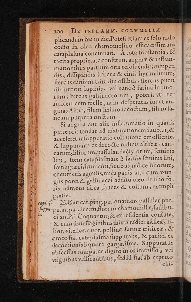 LE vb f LI k a » n Ku Td —Y——MÀ— ÁÍA 10 Drs INFLAMM. COLVMELLZ. plicandum bis in die.Poteft etiam cx folo nido co&amp;o in oleo chamomcelino efhcaciffimum cataplafma concinnari. AÀtota fubftantia, &amp; tacita proprietate conferunt anginz &amp; inflam- mationibus partium oris rcfoluendis,rumpen dis , diffipandis (tercus &amp; cinis hyrundinum; ftercus canis nutriti diu offibus, ftercus puer diu nutriti lupinis, vcl pancé farina lupino- rum , ftercus gallinaceorum ; poterit vtiliter mniíceri cum melle, nam defperatas iuuat an- ginas Actio, filum lixiuio incoctum , filum la- ncum,purpura tinctum. | : Si angina aut alia inflammatio in quauis parte oris tendat ad maturationem iuuctur,&amp; acccleretur f(appuratio collatione emolliente, &amp; fappurante ex decocto radicis altliez , cati- carum,liliorüm,paffalar.da&amp;ylorum, feminis lini, Item cataplaímate e farinà féminis lini, facnugrzci,frumenti,ficubus,radice iliorum; éucumeris agrcítismica panis albi cum axun- elis porci &amp; gallinacei addito oleo de lilio fo- 5s admoto circa fauces &amp; collum ; exempli gratia. | sapo — 07. C aricar.ping.par.quatuor, paffular.pur- futps- vatar.par.decem,florum chamomullz,fambu- ci an.P. j.Coquantur,&amp; cx refidentia contufa, &amp; cum mucilatinibus mixta radic. althez; li- lior, vitellor.ouor. pollinz farinz triticez , &amp; croco fiat cataplafma fuppurans, &amp; pariter ex decoctionisliquore gargarilma. Suppuratus ábfceffus rüinpatur digito in osimmiffo , vel vreuibus vellicatubus; fedid fiat ab PSI chi- VR FEUSOECONHWOUCEKONUES QU Ems ERSGM