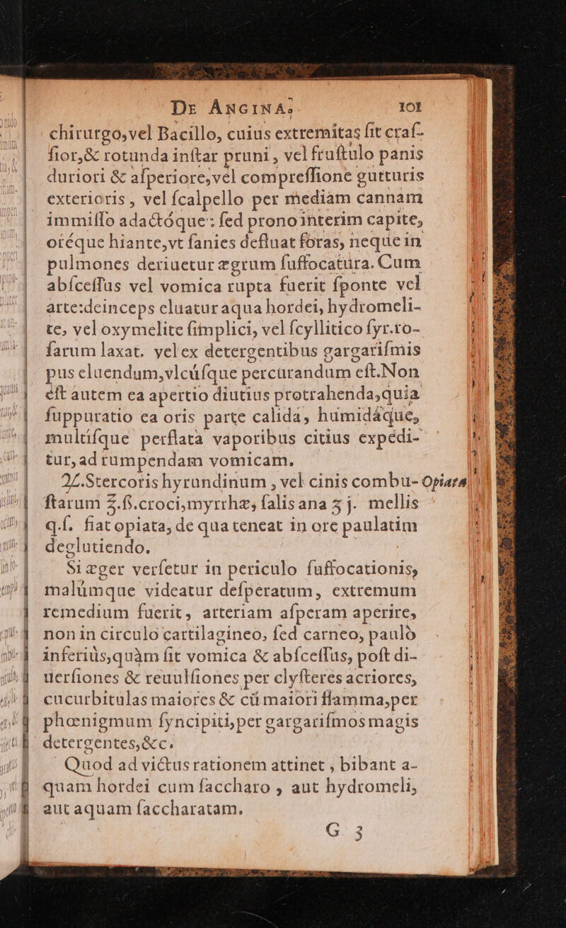 WELL EREIEGe E RpecUECITO NM QNI CRUS EN ran NN aad ÉD Dr ÁmNGINA: chirurgo,vel Bacillo, cuius extremitas fit craf- fior,&amp; rotunda inftar pruni, vcl fruftulo panis duriori &amp; afperiore;vel compreflione gutturis exterioris, vel fcalpello per mediam cannam immifIo adactóque: fed pronointerim capite; oréque hiante,vt fanies defluat foras, nequein pulmones deriuetur zgrum fuffocatura. Cum abíceffus vel vomica rupta fuerit fponte vcl arte:deinceps eluatur aqua hordei, hydromceli- te, vel oxymclite fimplici, vel fcyllitico fyr.to- farum laxat. yelex detergentibus gargatifmis pus eluendum,vlcüfque percarandum cft.Non eft autem ca apertio diutius protrahenda,quia fuppuratio ca oris parte calida, humidáque; mulüfque perflata vaporibus citius expedi- tur,ad rumpendam vomicam. 2L. Stercotis hyrandinum , vel cinis combu- Opiara|: ftarum Z.fi.crocimyrrhz; falisana 5j. mellis q.Í. fiat opiata, de quateneat in orc paulatim Js deglutiendo. | | Si eger verfetur in periculo fuffocationis, malümque videatur defperatum, extremum remedium fuerit, arteriam afperam aperire, non in circulo cartilagineo, fed carneo; pauló inferids,quàm fit vomica &amp; abícetfus, poft di- uerfiones &amp; reuulíiones per clyfteres acriores, cucurbitulas maiores &amp; cü maiori flam ma,per phenigmum fyncipiti;per cargarifmos magis dctergentes,&amp;c. Quod ad vi&amp;tus rationem attinet , bibant a- quam hordei cum faccharo , aut hydromceli, aut aquam faccharatam. E