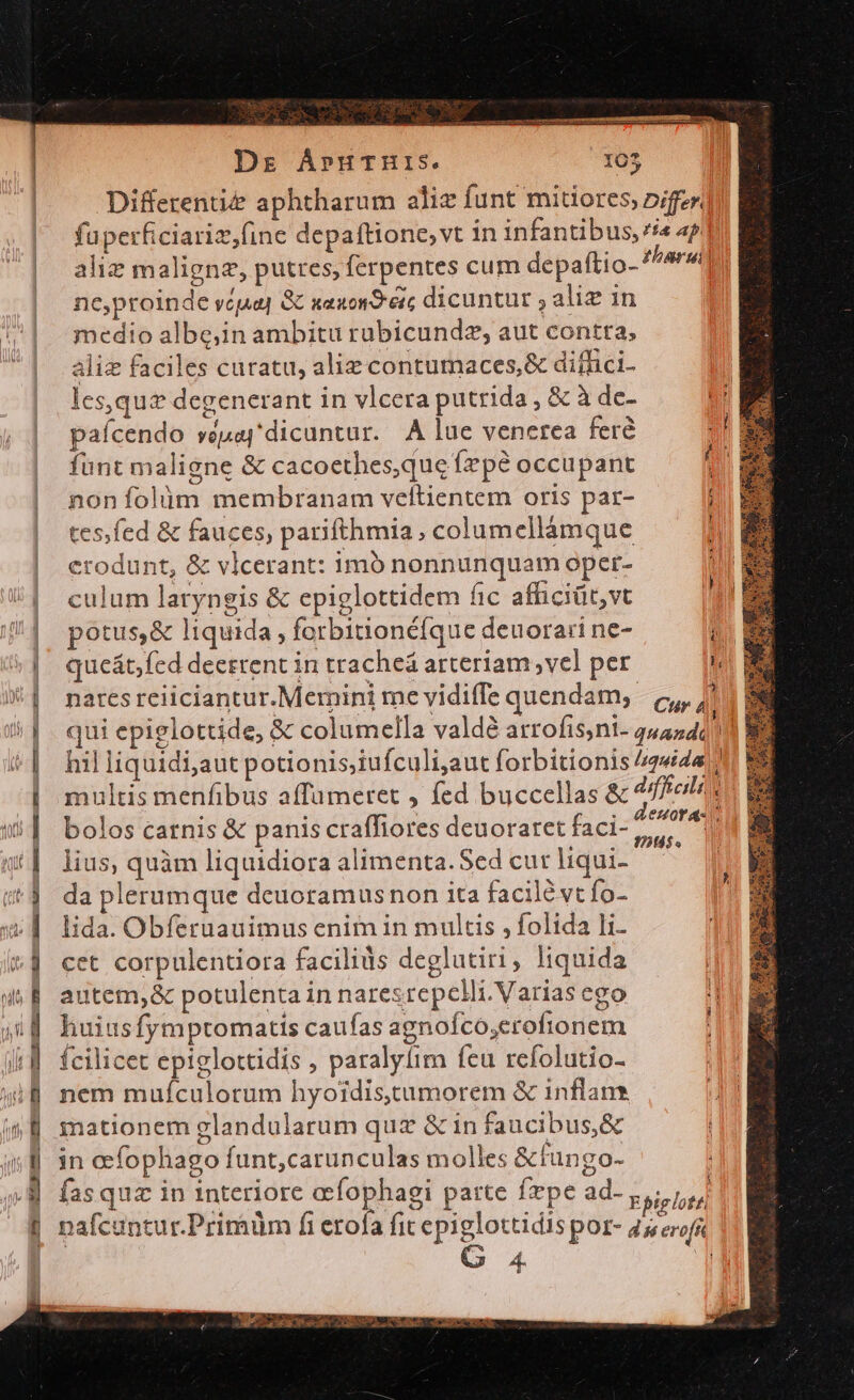 Dr ÁpuTHris. 105 Differenti&amp; aphtharum aliz funt mitiores nifzr. | füperficiariz,(ine depaftione,vt in infantibus, //« ap | ali malignz, putres, ferpentes cum depaftio- /^ar«i] ne,proinde viaa] &amp; xaxonS-éc dicuntur ; alie in medio albe;in ambitu rubicundz; aut contta, aliz faciles curatu, alie contumaces,&amp; diflici- les,quz degenerant in vlcera putrida , &amp; à de- | pafícendo vépay'dicuntur. A lae venerea fere | füntmaligne &amp; cacoethes,que fzpé occupant | nonfolüm membranam veftientem oris par- | tesfed &amp; fauces, parifthmia, columellámque d | erodunt, &amp; vlcerant: imb nonnunquam oper- : U| ^ culum laryngis &amp; epiglottidem fic afficiüt,vt ||| potus,&amp; liquida , forbitionéfque deuora:i ne- ' »| queát fed deetrent in tracheá arteriam ,vel per h X] naresreiiciantur. Memini me vidiffe quendam, c, , qui epiglottide, &amp; columella valdé arrofis,ni- q4424 ) hil liquidi,aut potionis,iufculi,aut forbitionis 444447 multis menfibus affumeret fed buccellas &amp; 4/feile e bolos carnis &amp; panis craffiores deuoraret faci- in ' lius, quàm liquidiora alimenta. Sed cut liqui- da plerumque deuoramusnon ita facile vt fo- lida. Obferuauimus enim in multis , folida li- cet corpulentiora facilius deglutiri, liquida autem,&amp; potulenta in nares repclli.Varias ego huiusfymptomatis caufas agnofco,erofionem fcilicet epiglottidis , paralyíim feu refolutio- nem mufculotum hyoidistumorem &amp; inflans mationem glandularum quz &amp; in faucibus,&amp; in oefophago funt,carunculas molles &amp;fungo- : fas quz in interiore afophagi parte fpe ad- , ilond ^d Ó Ld 2 nafcuntur.Primüm fi erofa fit epiglottidis por- 45/25 — — E ILIRGEIEEL IPROOÉA MO € acce Nec o rn ut gom mese - a €