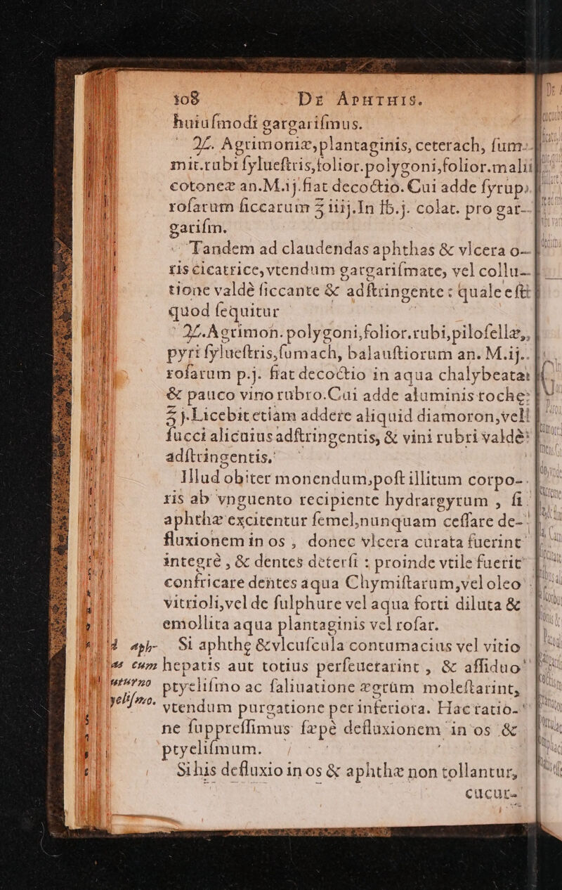  zx x Dzrz Árpurmrs. huiufmodt garcarifmus. rofarum (iccarum Z gariím. ; Tandem ad claudendas aphthas &amp; vlcera o- tis cicatrice, vtendum gargari(ímate, vel collu- tione valde ficcante &amp; adftringente : qualeeft] quod fequitur 27. Agrimon.polygoni,;folior.rubi,pilofellz,, | pyri fylueftris,fumach, balauftiorum an. M.ij. zofarum p.j. fiat decoctio in aqua chalybeatai i &amp; pauco vino rübro.Cui adde aluminis toche: 5 j. Licebitetiam addere aliquid diamoron, vel! j fucci alicuius adftringentis, &amp; vini rubri valde: [^ adítngentis, | Illud obiter monendu m,poft illitum corpo- . ris ab vnguento recipiente hydrargyrum , fi |^ aphthz excitentur femel;nunquam ceffare de-: | fluxionemin os , donec vlcera cürata fuerint |. integre , &amp; dentes deter(i : proinde vtile faerit . confricare dentes aqua Chymiftarum,veloleo' |. ^ vitrioli,vel de fulphure vel aqua forti diluta&amp; | |. emollita aqua plantaginis vel rofar. id «pp Siaphthg &amp;vlcufcula contumacius vel vitio Mies eu hepatis aut totius perfeuetarint , &amp; affiduo' IN 7 ptyelifmo ac faliuatione *erüm moleftarint, yel!/o. , cendum purgatione perinferiota. Hactatio-' ne fuppreffimus fzpé defluxionem in os .&amp; ptyelifmum. , ^ Sihis defluxio inos &amp; aphthe non tollantur, Cucur- gogo; (EC NCEEWIES C rcs