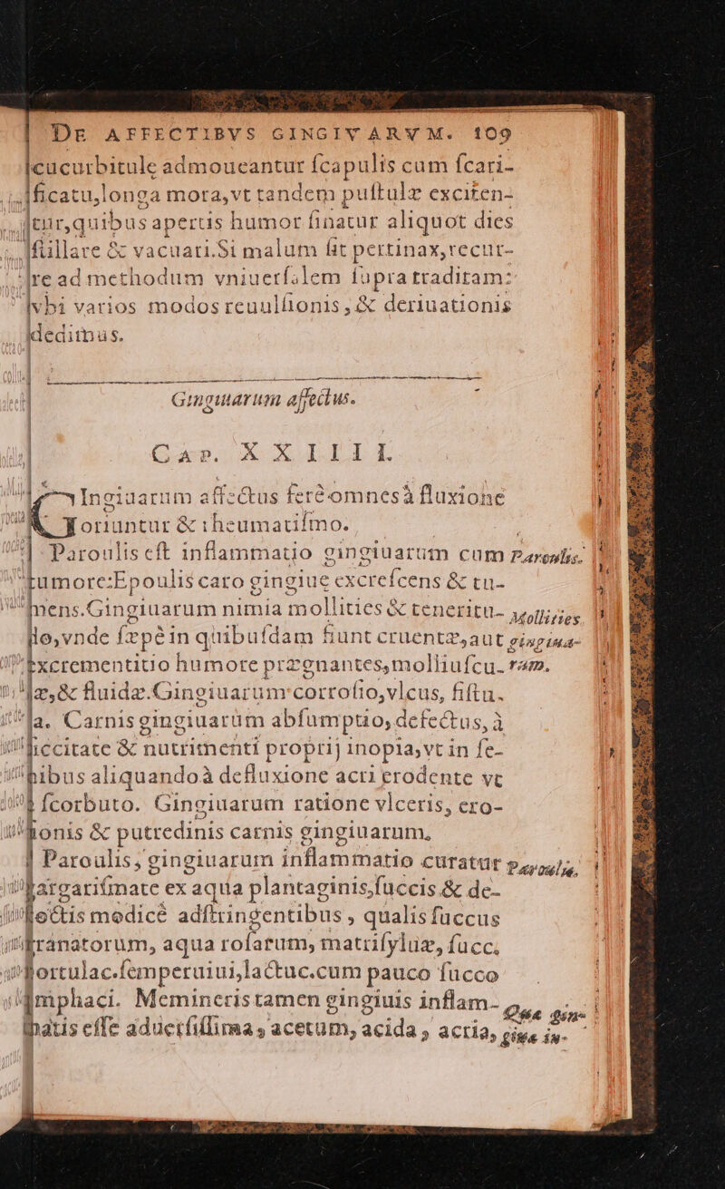 DE AFFECTIBVS GINGIV ARY M. 109 ! Icücurbitule admoueantur fcapulis cam Ícari- ii eeatu, longa mora,vt tandem puftulz exciten- ]euc quibus aperus humor inacur aliquot dies falla: e OE d uari.Si malum hit pc rtinax,recut- re ad methodum vniuerf;lem lapra traditam: dv vbi varios modos reuullonis , &amp; deriuationis ideditnus. mt a e m fr. t ri t s p | Giguari n afjectus. I | - l Quarpo ACTIO T Ls Ki Ingiuarum a (f:&amp;us fer&amp; omnesá fluxiohe oriuntur &amp; i heumatifmo. | ] Parouliseft inflammatio gingiuarüm cum Fotia gpumore: :Epoulis caro gingiue - cxcrefcens &amp;tu- ^Inens. Gingiuarum nimia t mollitiesa &amp; teneritu- yoriiss Ls (pé in quibuídam f&amp;unt cruentz,aut gingina- xctementitio humote prezgnantesmolliufcu. ram, 1d, 8c fluidz.Gingiuarum'corrofio,vlcus, fiftu. M a. Carnis gingiuarüm abfumptio, defectus, à ü'hecitate &amp; nutritnenti proprij inopia,vt in fe- pibus aliquandoà dcfluxione acri erodente vt e fcorbuto. Gingiuarum ratione vlceris, ero- Bonis &amp; putredinis carnis gingiuarum, | Paroulis; cingiuarum ibflamihitis CUTAtUE poros]. bBargarifinate ex aqua plantaginis;fuccis.&amp; dc- frio lectis modice adfítringentibus , qualis fuccus (il /;Eránatorum, aqua TT NT matrifyluz, fucc. i Bortulac. femperuiui,lacuc.c um pauco fucco lhatis effe aducríiflima s, acetüm, acida ; acria, ciu iu