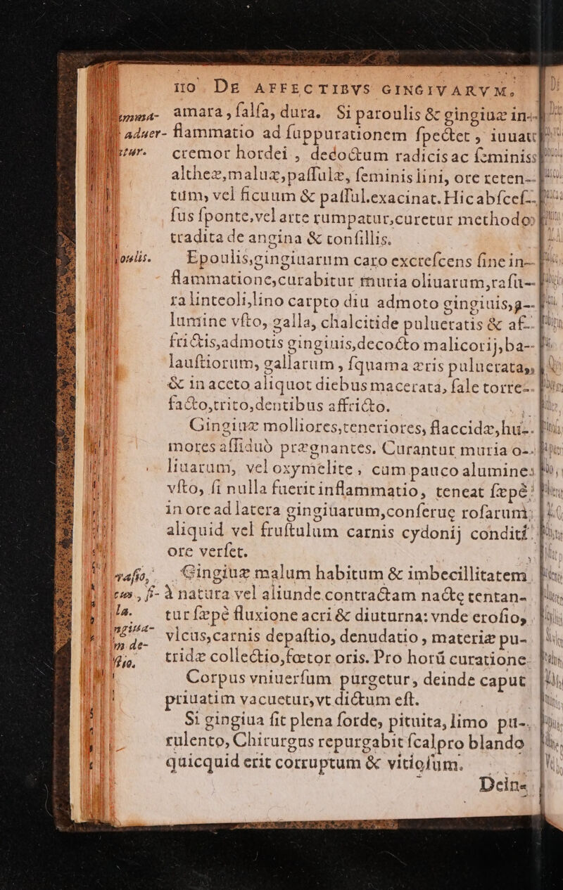 Pd | Ho DE AFFECTIBVS GINGCIVARY M, li ouua- amara,falfa, dura. Siparoulis &amp; gingiuz in.- I a44er- flammatio ad Íuppurationem fpe&amp;tet ;' iuuau J^ Wi r- cremor hotdei , deco&amp;um radicisac fzminiss jJ m althez,maluaz,;paffulz, feminis lini, ore reten-. [^ tum; vcl ficuum &amp; pafful.exacinat. Hic abfcef-- p^ fus fponte.vel arte rtumpatur,curetur methodo»! M tradita de angina &amp; confillis. ; T ozelis. Epoulis,ginginarum caro exctefcens fine in [X : flammatione;curabitur muria oliuatum,rafü— i xa linteoli;lino carpto diu admoto cingiuis;g-- [^^ Wi lumine vfto, galla, chalcitide pulueratis &amp; a£. M fri&amp;isjadmotis gingiuis,decocto malicorij,ba- MU lauftiorum, gallarum , fquama a'ris palueratas | LM &amp; 1n accto aliquot diebus macerata, fale torrez. iN facto,trito,dentibus affricto. - wi M. Gingiaz molliores;teneriotes, flaccidz, hu. ij mores affiduó prezgnantes. Curantur muria o-. [ih |j - liuaram, vel oxymelite, cum pauco alumine: [9; ] i il T f vfto, fi nulla faeritinflammatio, teneat [x pé: fi andi in orc ad latera gingiuarum,conferue rofarum; |. An aliquid vel fruftulum carnis cydonij conditi: [ox NH ore verfet. T ! 45. Gingiuz malum habitum &amp; imbecillitatem. |: d diros , ff- à natara vel aliunde contractam nacte tentan- 11. — taürfepé fluxione acri &amp; diuturna: vnde erofío, ; E vicus,carnis depaftio, denudatio , materie pu- ul bu tridz colle&amp;io,fator oris. Pro horü curatione. M Corpus vniuerfum purgetur, deinde caput | priuatim vacuetur,vt dictum eft. Fi, | j | $1 gingiua fit plena forde; pituita, limo pu-. 11 rülento, Chirurgus repurgabit ícalpro blando bn quicquid erit corruptum &amp; vitiofum. Dcein-