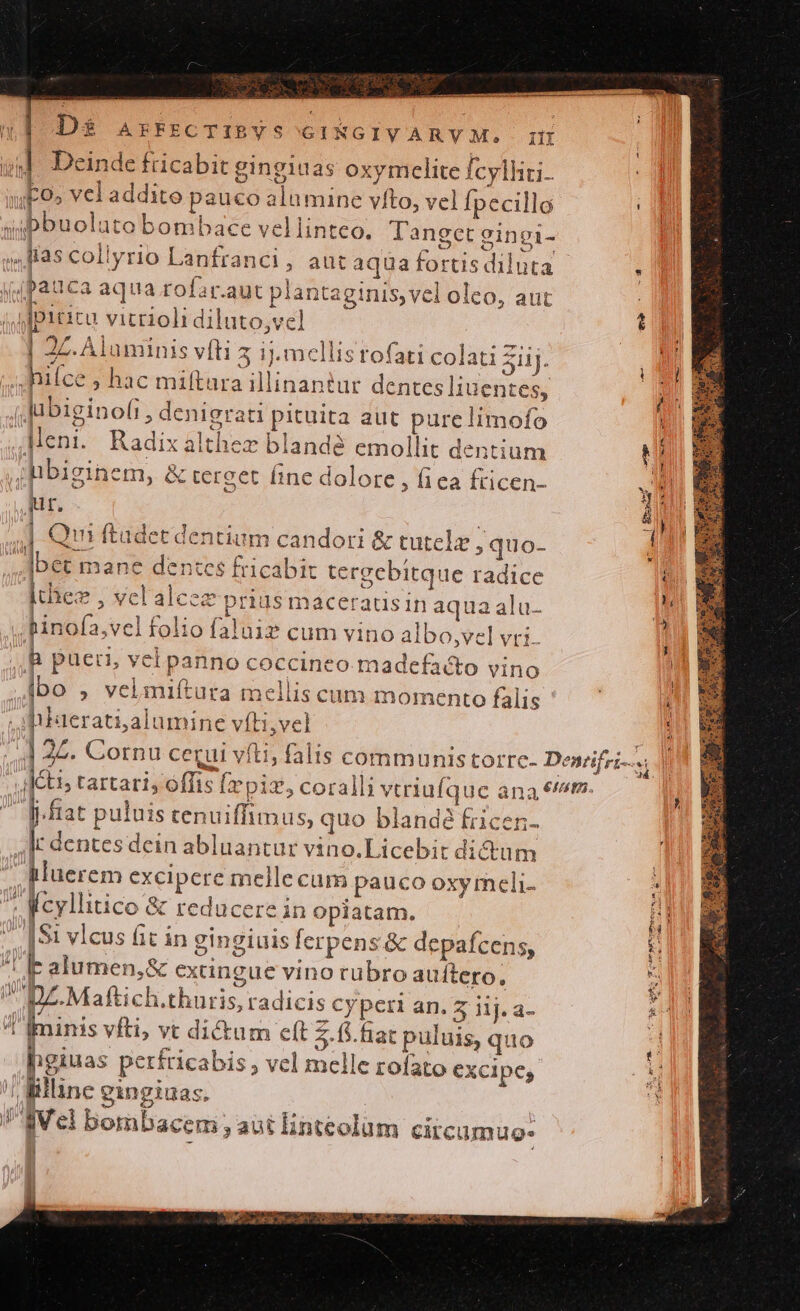 D$ AEFECTIBVS GIKGIVARYVM. iH o» Deinde frücabit gingiuas oxymelite Ícylhti. uo» vel addite pauco alumine víto, vel Ípecillo sipbuoluto bombace vellinteo. Tanget ginegi- lias coilyrio Lanfranci, autaqüua fortis diluta yipauca aqua rofar.aut plantaginis, vel oleo, aut dpiticu vicrioli diluto,vel | 2Z. Aluminis vfti 8 1j.mellisrofati colati Ziij. i hilce ; hac miftara illinantur dentes liuentes, | Jubiginofi, denigrati pituita aut pure Iimofo ,Ment. Radixalthez blandé emollit dentium jBbiginem, &amp; tercet fine dolore , fiea fricen- ur, | | Qui ftadet dentium candori &amp; tutele ,quo- bet mane dentes fricabit ergebitque radice pe , Vcl alcez prius maceratisin aqua alu. hinofa,vel folio faluig cum vino albo,vel vri. R pueri, vcl panno coccineo madefacto vino ,1bo , velmiftura mellis cum momento falis . baerati;alumine víti,vel l5 dti tartari, offis Írpiz, coralli vtriufquc ana 6m. j-ftat puluis cenuiffimus, quo blande Éricen- |t dentes dein abluantur vino.Licebit dictu m hluerem excipere mellecum pauco oxymeli- , Mcyllitico &amp; reducere in opiatam. ..|91 vlcus fit in gingiuis ferpens &amp; depafcens, I alumen,&amp; exangue vino rubro auítero, 'Iminis vfti, vt dictum cft 5.65 fiat puluis, quo hgiuas perfricabis , vel melle roíato excipe, ! illinc gngiuas. Vel bombacem , aut linteolüm circumuo- ec