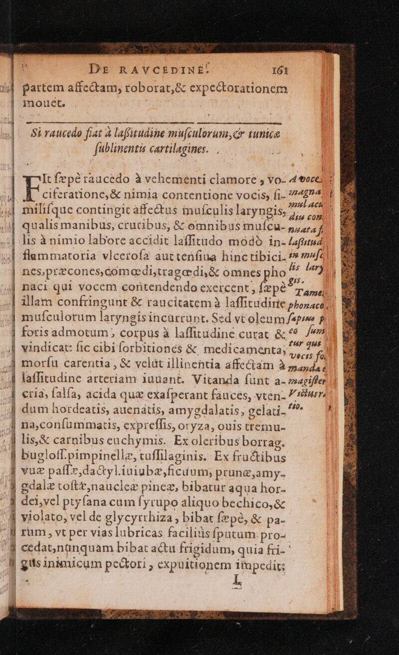 VIT partem affectam, roborat, &amp; expectorationem mouet. Si raucedo fiat à laffitudine mu[culorum,cr tunice fublinentis cavtilagines. | E It fepétraucedo à vchementi clamore , vo- 4ecej ciferatione, &amp; nimia contentione vocis, fi- /74£?4/] eT/ (8 eir s Eu e o » mulach P, milifque contingit affe&amp;us inuículis laryngis.5,, 7, qualis manibus, crutibus, &amp; omnibus muífcu- naata f lis à nimio labore accidit laffitudo módó in- Laftitud | flammatoria vlceroí2 auctenfi&amp;a hinctibici. js maja | A M. * ] Ee [2 A. | nes,przcones,comoedi;tragaedi,&amp; omnes pho ^^ 73 naci qui vocem conrtendendo exercent , Ízpe^ 7, ul illam confringunt &amp; raucitatem à laffitudirte phoraco, mufculorum laryngis incurrunt. Sed vt olenm fepe p. foris admotum , corpus à laffitudine curat. &amp; * Juni. a . . * p eof. dave * 34 z?f(ár qus vindicat: fic cibi forbitiones &amp; medicamenta; vecis f moríu carentia , &amp; velüt illinentia affe&amp;iam à 5, d.; laffitudine arteriam iuuant. Vitanda fünt a- »«riffer £40, » na,confümmatis, expreffis, oryza, ouis tremu- lis,&amp; carnibus euchymis. Ex oleribus borra. dei,vel ptyfana cum fycupo aliquo bechico,&amp; violato, vel de glycyrthiza bibat fepe, &amp; pa. rum , vt per vias lubricas facilitis fputum.pro-. cedat,nanquam bibat actu frigidum, quia fri- ' B