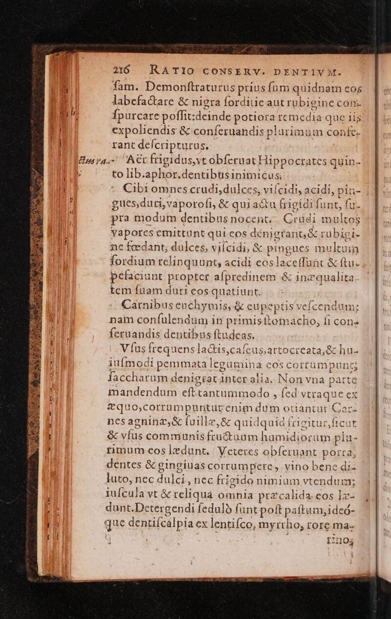 Jm 2100 RATIO CONSERY. DENTIV XM. fam. Demonftraturus prius füm quidnam eos labefactare &amp; nigra forditie aut ro bieinc con Ípurcate poffit:deinde potiora remedia que iis cxpoliendis &amp; conferuandis plurimum confe. rant deícripturus. - pr ig cii ursa ACC frigidus,vt obferuat t lippocratcs quin- » to lib.aphor.dentibtsinimicus Cibi omnes crudi, dulces, viícidi, acidi, piu- gues,duri,vaporofi, &amp; qui actu frigidi funt, fu. pra modum dentibus nocent. Crudi multos Vaporcs emittunt qui eos dénigtant &amp; ruübigi- nc £cedant,; dulces, vifcidi, &amp; pingues multuin fordium telinqu ünts acidi eoslaceffunt &amp; ftu. pefaciunt propter afpredinem &amp; inc qualita tcm fuam duri cos quatiunt. « Carnibus eschymis, &amp; eupeptis vefcendu nam confulendum in primisitomacho, fi feruandis dentibus ftudeas. V (us frequens lactis,cafcus,artocreata,&amp; hu- iuímodi pemmata legugiina cos cortumpu faccharum denigrat nter alia. Non vna mandendum efttantummodo , fed vtraque cx *quo;corrumpunturenim dum otiantut Cor- nesagninaz,&amp; fuillz,8c quidquid figitur, ficut &amp; víus communis fructuum hamidiorum pla- rimum cos ledunt.. Veteres obferuant porra, dentes &amp; gingiuas corrum pere, yino benc di- luto, nec dulci, nec frigido nimium vtenduim; iuícula vt &amp; reliqua omnia przcalida. eos 12- dunt.Dctergendi feduló funt poft paftumjideó- que dentiícalpia ex lentifco, myrrho; rore ma- [2:104 m í D E Y3 i