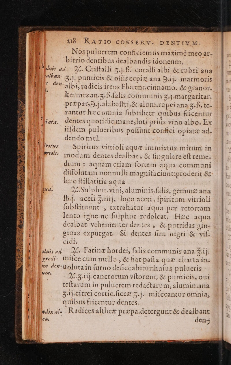 4 P d 428 RATIO CONSERY. DENTIY M. Nospulu erem conficiemus maxim meo ar- abi bitrio ades dealbandis idoneum, &amp; l In; 4d. 25. Cuftalh 2.j.6. coralltalbi &amp; tobri ana WE alba. n pumicis &amp; € offi s cepit ana S.ij. marmoris IN. den- albi, Labia ue Florent;cinnamo, &amp; granor. kerme f s lis communis 3.j.margaritar. pra haod oaftri, &amp; alum. rüpei ana a 3.5. te- rantur vid ia fuübtilicer quibi us fricentur dentes quotidie mane;loti prius vino albo. Ex iifdem puluctibus po offünt confici opiatz ad- | dendo mel. I irzzus Spiricus vitrioli aque immixtus mirum in I9. modum dentes dealbat , 8 &amp; lingulare eft reme- dium : : aquam etiam fortem a aqua communi dillolutam nonnulli magnifaciunt:proderit &amp; hzc ftillatitia aqua | 22. Sul ph: it. viai, aluminis, falis, cemmz ana Ib.). aceu Z.iiij. loo aceti, fpiritum vitrioli (abita int , extrahatur aqua per retortam lento igne nc fulphuz redolcat. Hzc aqua dealbat v: TOTNM dentes , &amp; putridas gin- giuas expurgat. $i dentes fint nigri &amp; vif: cidi, Vduisad — 2L. Farinz hordei, falis communis ana £. ij. Wgredi- mifce cum mells , &amp; fiat pafta que charta in- V den-uolutain furno deficcabitur:huius pulaeris pez 25.5 5.1ij.cancrorum vítorum, &amp; pumicis, oui tcitarin m in pulucrem redactarom, alumin.ana 5.1j.citrei cortic.(icce 7.j. mifceantur omnia, quibus fricentur dentek «ix al- Radices althes ' prt pa.detergunt &amp; dealbant Pea, den4