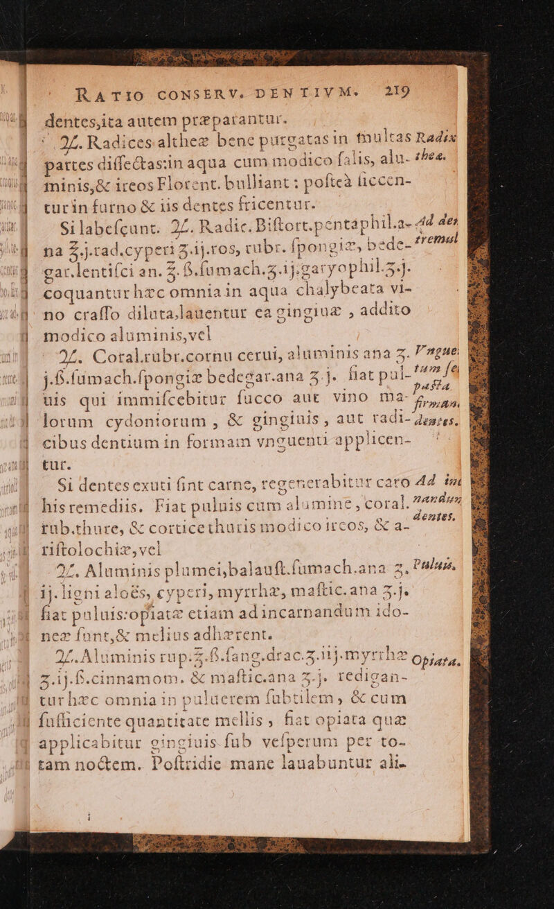 J-- d [| — I — COMEA q.s EC Had RATIO CONSERV. DEN TIVM. 219 eres autem przparantur. ', 27. Radices althee bene put gen sin tnultas Radix pattes d liffe&amp;tas:in aqua cum modico falis, alu. (^e«. minis,&amp; ireos Florent. bulltant : p. oftcà iccen- turin fürno &amp; iis dentes fricentur Silabefcunt. 2Z. Radic. Biftort.pentáp P hil.a- 44. 4e na did cope gio vübr. fp pongie bedc- femel gar.lentiíci an. 5. Í fumach.s. ij.garyophil.5.]. coquantur htcomniain puit ule ata vi- no crafTo diluta.lauentur ea gingiu£ , addito . . * 1 modico aluminis,vei 24. Cotalruübr.cornu cerui, alüminis ana 5. dir I obadia je ad ul-'^7/8 o1 ! Har.ana 1. fiat p l- j.8.fümach.fpongiz bedegar.ana 5] ps uis qui immifcebitur fucco aut vino onu fran E lorum cyd ontiorum , &amp; ging iuis, aut radi- 25,5, cibus dentiutn 4 in forinam vnguenti app! licen- cut. $1 dentes exuti xs carne, regener iuis tcaro 44. tut hisremediis. Fiat puluis cum a lumine , coral. 747497 rab.thure, &amp; Maebunes ris modico I£cos, (x n riftolochiz,vei 27. Aluminis plumeibalauft.fumach. ana z, PAfuss, ij. igni aloés, MH UMPA myrrhz, maftic. ana 5.j. fiat pnluís: opi lat ' etiam ad incarpandum ido- nez fnnt, &amp; melius adhzrent. / 1 i M   2 í 1^ 43 X vigi y 442 0A I J/ A|lntnriniSs rünD;A.i5.ilanc.drac.Zz.11].myrrina , 4L diuminis — I2) 6EU Brain ei ree T mp Eees OPiata. à : j T. 3 ^ ; t 1 1 4*4 ^ V ^n ^ 4 Y - - Z.ij.b.cinnamotn, &amp; maltic.ana 5.j. redigan t v &amp; ! | lieve pq mre IRE Mr m1 iucrem iubiiiciIn, eccum tur nXc omnia in pu ren m . - T 3 3c — r d. . ; fufhiciente quantitate mcellis, fiato plata qua applica bod einciuls fub velperum per to- tam noc&amp;em. Pofítridie mane lauabuntur ali-