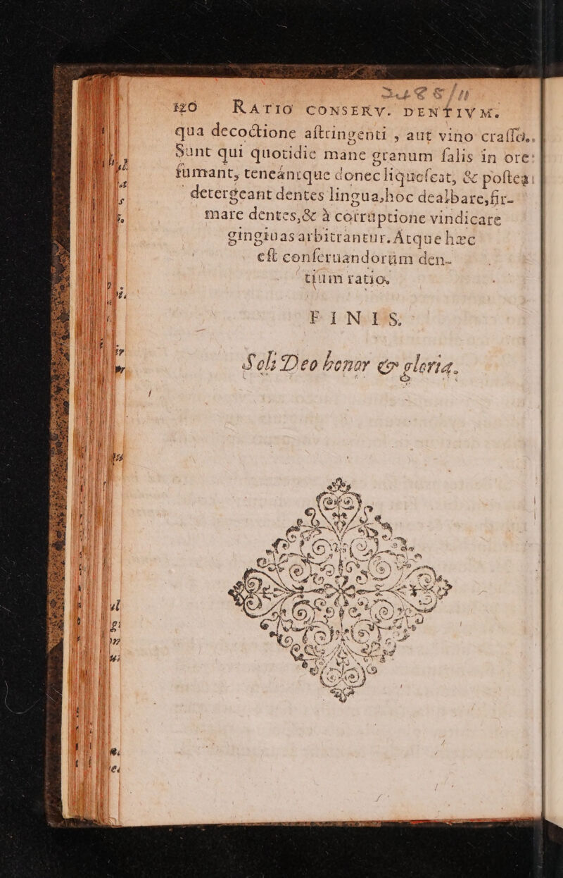 £0 RArio cowsERv. DENTIY M. qua deco&amp;ione aítringenti , aut vino cra(fa, Sunt qui quotidie hiahe grenum falis in Ore: fumant, tcneánrque donec liquet ícat, &amp; poftea detergeant dentes lingua;hoc dealbare,fir- mare dentes, &amp; à corra !ptione vin dicare ginginas arbitrantur. tque hzc cft conferuandorüm den. tiim ratios FINIS f org NE yy? Se zs e A L: