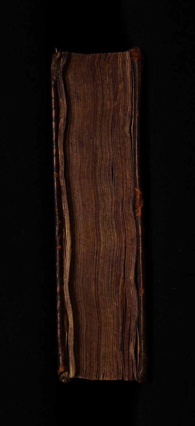 digitised image 3