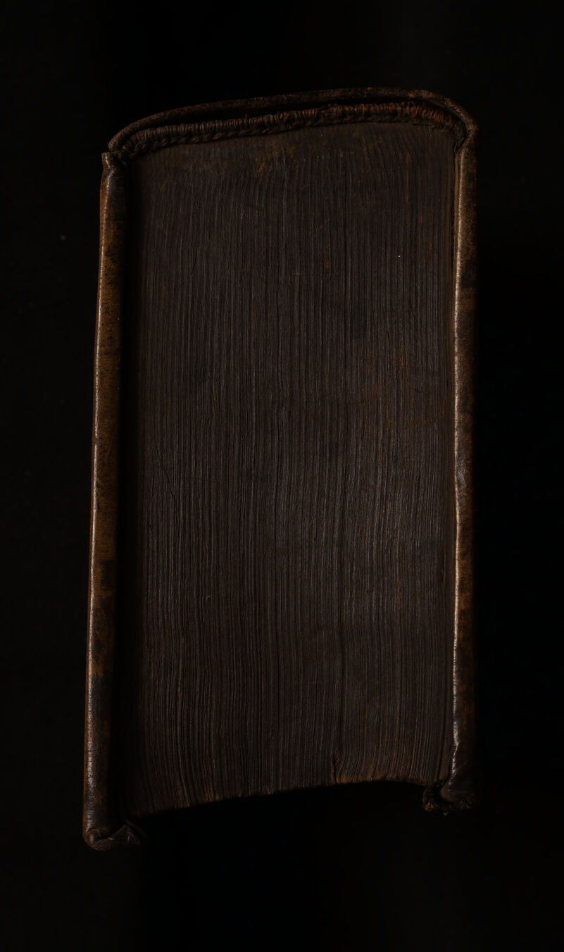 NL Ti LALAMA NAN FAN Pr Faite y + er f ai