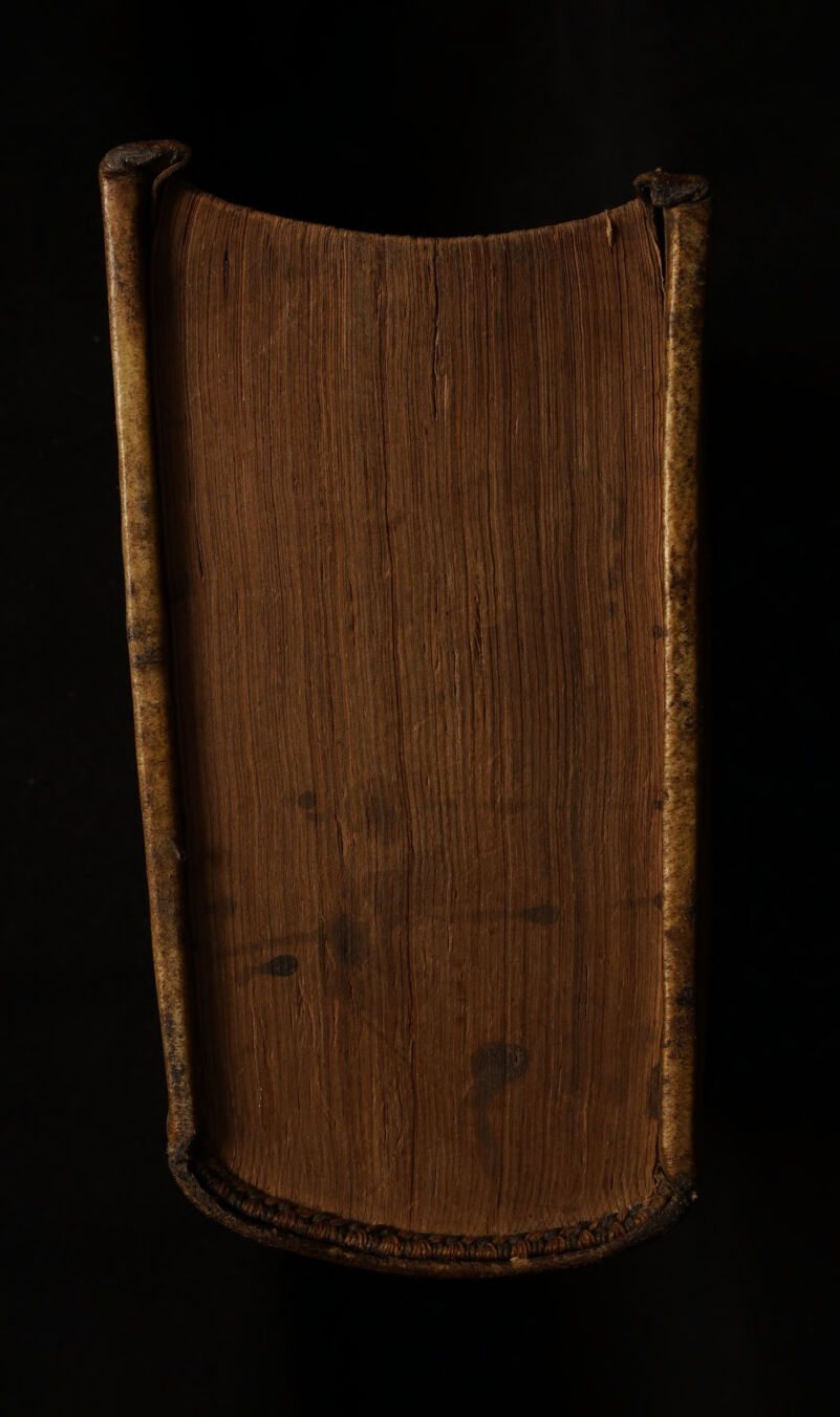 + ‘st : dé Les s l'ARN ue a s ' CRE D ETES TE \ 5, Soi NE RTE UERUN ” =. 2 à M + C7 Fe tay Aa $