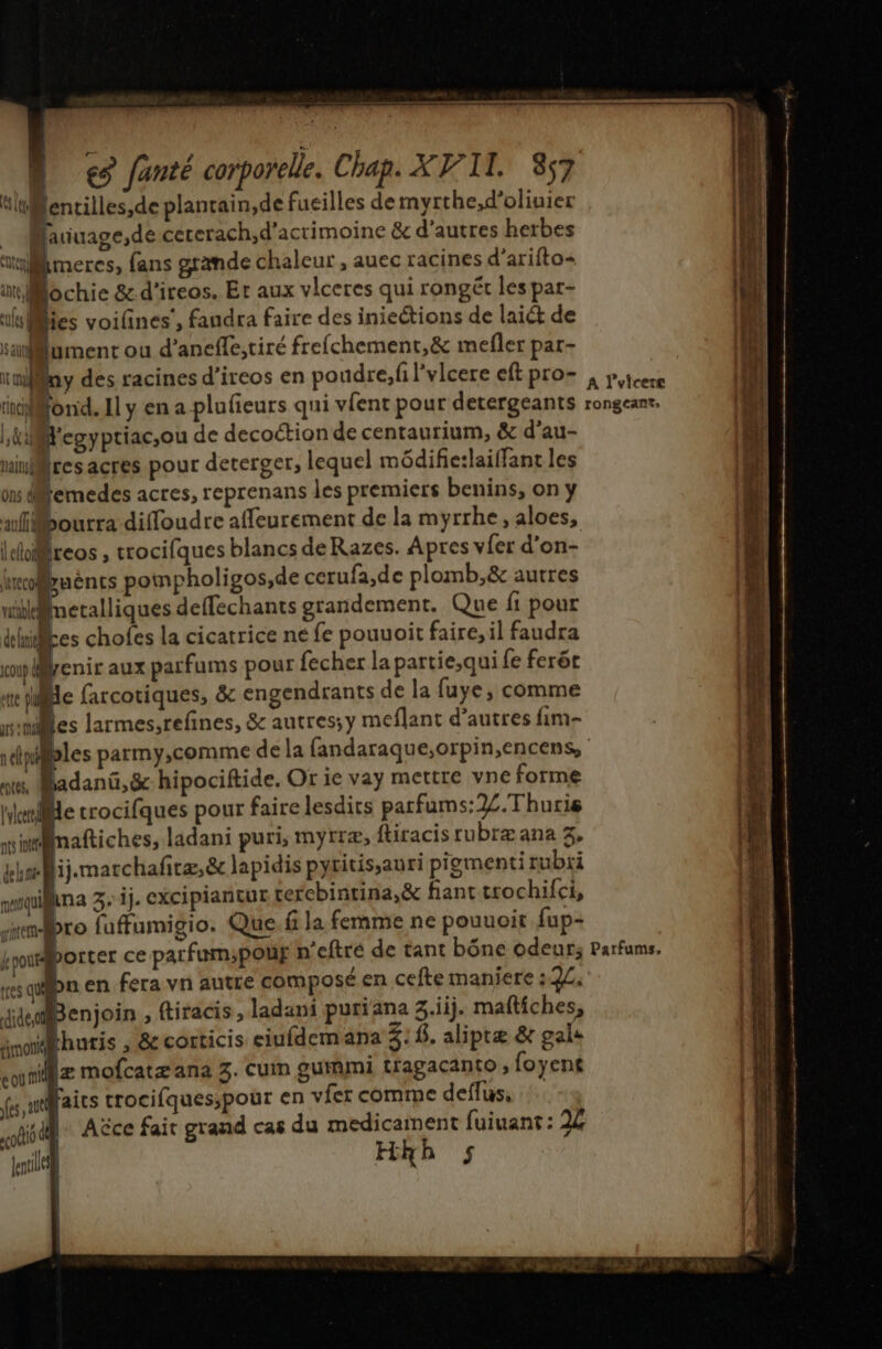 “luMencilles,de plantain,de fueilles de myrthe,d’oliuier _ Maiuage,de ceterach,d’acrimoine & d’autres herbes imercs, fans grande chaleur , auec racines d’arifto+ it Mochie &d'ireos. Er aux vlceres qui rongét les par- lies voilines’, faudra faire des iniections de laiét de saument ou d’aneffe,tiré frefchement,& mefler par- inny des racines d’ireos en poudre, l’vlcere eft pro- fond. Il y en a plufieurs qui vfent pour detergeants I, Gil En dou de decoction de centaurium, & d’au- ninresacres pour deterger, lequel médific:laiffant les on difemedes acres, reprenans les premiers benins, on y aflébourra diffoudre affeurement de la myrrhe, aloes, | eltoi frcos , trocifques blancs de Razes. Apres v{er d’on- krcoMpuéncs pompholigos,de cerufa,de plomb,& autres nikllnetalliques deffechants grandement. Que fi pour hikes chofes la cicatrice ne fe pouuoit faire, il faudra Benir aux parfums pour fecher la partie,qui fe ferét e farcotiques, & engendrants de la fuye, comme Mes larmes,refines, & autres;y meflant d’autres fim- >» nt, Badanûü,& hipociftide. Or ie vay mettre vne forme hernie trocifques pour faire lesdirs parfums:22.Thuris riimaftiches, ladani puri, myrræ, ftiracis rubræana 3, delsme | ij.marchafitæ,& lapidis pyritis,auri pigmenti rubii wquilna 3 ij. CXCIpIantur terchintina,& fianttrochifci, sembro fuffumigio. Que. fi la femme ne pouuoit fup- éuorter ce parfum;pouf n’eftré de tant bône odeur: res quipn en fera vn autre composé en cefte maniere 32: didesol ; enjoin , ftiracis, ladani puriana 3.iij. maftiches, inoihuris , &corticis eiufdemana 3: 8. aliptæ & gale sunillz mofcatæana 3. cuin gurmmi tragacanto ; foyent fs ,uraits trocifques;pour en vier comme deffus, did Ace fait grand cas du medicament fuiuant : 24 Leriles ; Hkb 5s | | | A l’vicere rongeant: Parfums, nn pt V2 fe os J ne ete ot + Louis cd Bi Fr mes SE Er co Le entr 2 ns À