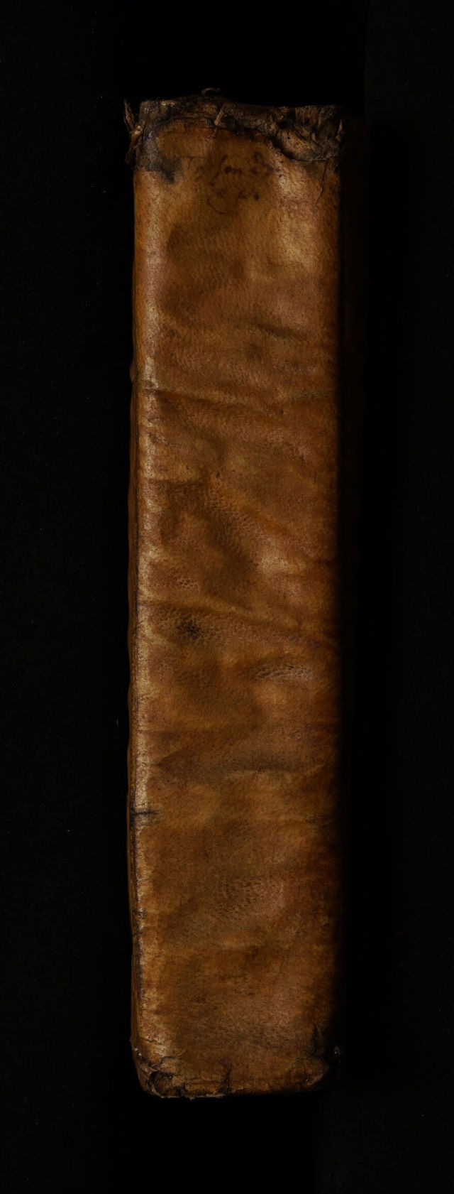 No text description is available for this image