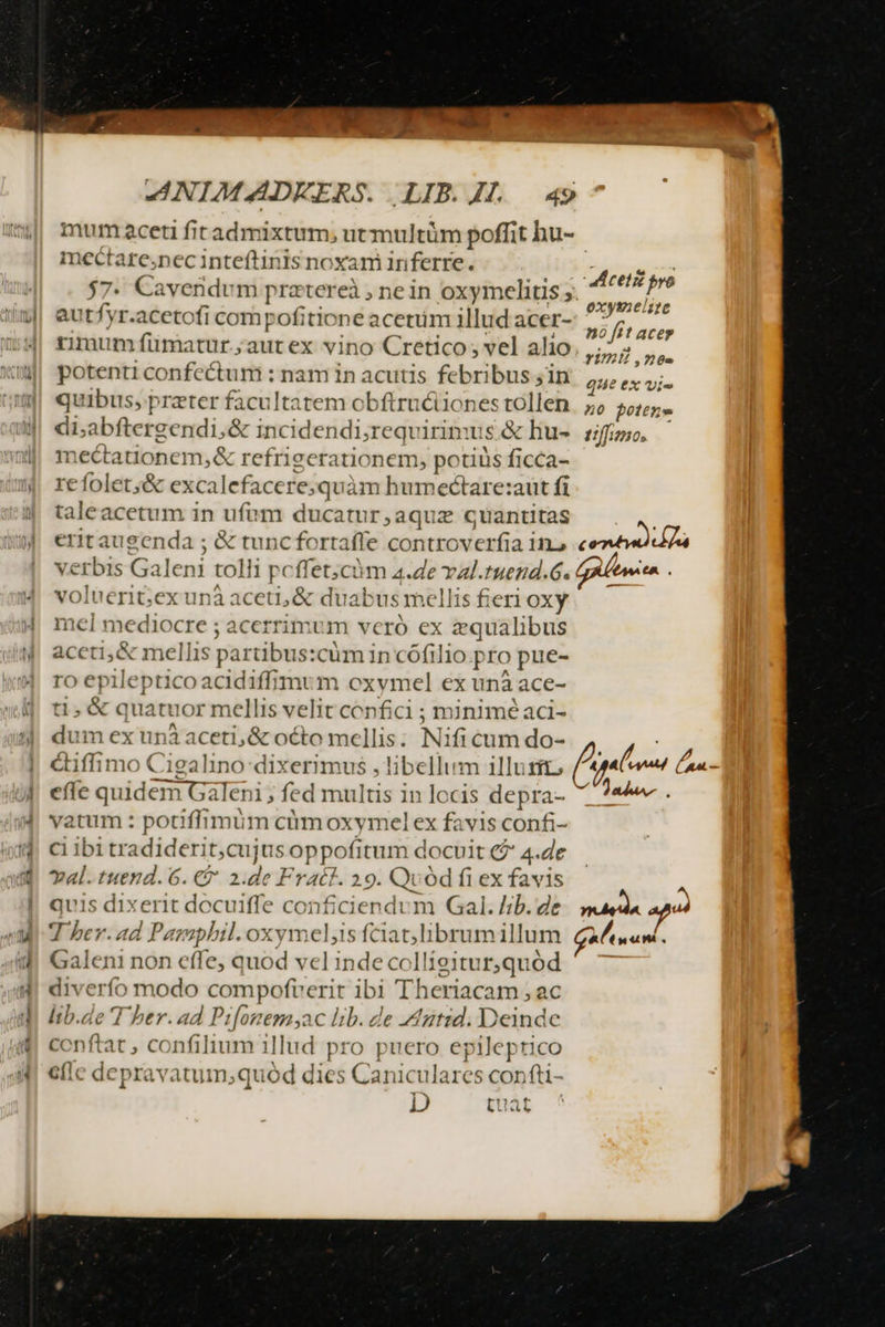 cA MER — w^ € h 3 zx - &amp;* — — -  ANIMZADEERS. LIB. 44... 49 nectare.nec inteftinis noxam inferre. autfyr.acetofi compofitione acetum illud acer- rimum fümatur.;aut ex vino Cretico; vel alio potenti confectum : nam in acutis febribus jin quibus, preter facultatem obftruc&amp;iiones tollen di;abftergendi,&amp; incidendi;requirimus &amp; lhu- mectationem,&amp; refrigerationem, po tiüs ficca- refolet;&amp; excalefacere;quàm humectare: aut fi taleacetum in ufvm ducatur ,aquz cuantitas 'erbis Galeni tolli pcffet;cóüm a.ze val.tuend.6. voluerit; ex unà aceti, &amp; duabus mellis fieri oxy mel mediocre ; acerrimi m vcró ex zqualibus aceti, &amp; mellis partibus:cüm in cófilio pro pue- ro epilepticoacidiffimvm oxvmel ex una ace- )&amp; quatuor mellis velit co nfici ; miniméaci- di m ex unaceti,&amp; octo mellis. Nificum do- aceti pro oxysmnelie nó ftt acer YImi ,n6» que ex vis n0 pottne tffiano, echa ifa CM. effe quidem Galeni ; fed multis in locis depra- vatum : potiffimum cümoxymel ex favis confi- ci ibi tradiderit d. 9 oppofitum docuit (2 4.de val.tuend.6. € 2.de Fratt. 29. Qvod fi ex favis T her. ad Pa mbil. oxymel,1s fciat,librum illum Galeni non effe, quod vel inde collieitur,quód diverfo modo compofverit ibi Theriacam , ac lib.de T her. ad Pi[onemyac lib. de Aztid. Deinde conf tat, confilium 11lud pro puero epileptico efle depravatum,quoód dies Canicilarcs confti- , quat c E