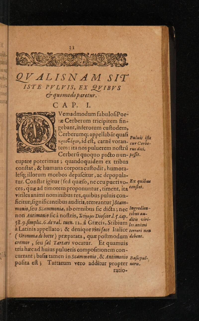 QVALISNAM SIT ISTE PFLFIS,EX QVIBFS C quomoeodo paretur. CSA-R. T Vemadmodum fabulofiPoe- &amp; Cerberum tricipitem fin- 1 gebantinferorum cuftodem, ? Ki Cerberumq; appellabàt quafi Pului; ifl £P xocoGopov, id eft, carnévoran- ,,, ciu. $4 tem: itanospuluerem noftrü rj dici, Cerberá quoquo pa&amp;o nun- poft. eupare poterimus ; quandoquidem ex tribus conftat , &amp; humana corporacuftedit ; humora- lefq; illorum morbos depafcitur ; ac depopula- tur. Conftat igitur (fed quafo, ne ceu pucrivo- Ex quibu ces, quz ad timorem proponuntur, timent, ita con fret. virilesanimi nominibus res,quibüs puluis con- ficitur;fignificantibusauditis;terreantur )Stam- »onio,(eu Scammonia, ab omnibus (ic di&amp;ta ; nec Ingredien - non Antimonie [icà noflris, awe Diofcor.l.y.cap. Hen ea $8.9.fimplic.6.deval. tuen. 11..à Grecis, Stibium j,,,,,;,; à Latinisappellatos &amp; deniquevinifece Yxalice zerzeri non ( Gromma di botte) preparata, que poftmodum deben: eremor , íeu fal Tartari vocatur. Et quamuis tria hzcad huius pulueris compofitionem con- currant 5 bafis tamen in Scammenio , &amp; Antimonio Bafispul., pofita eft 5 Tattarum vero additur propter sers. — ratio-