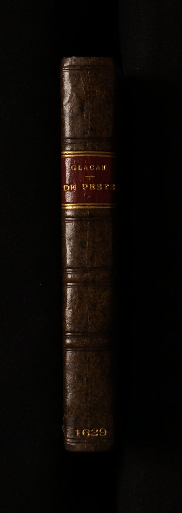 No text description is available for this image