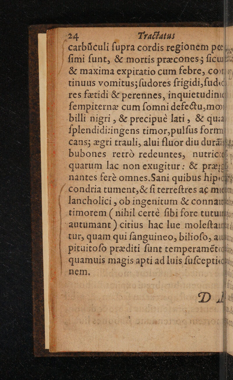 carbüculi fupra cordis regionem pe. fimi funt, &amp; mortis praecones; ficu: &amp; maxima expiratio cum febre, coto, tinuus vomitussfudores frigidi,fud« res fatidi &amp; perennes, inquietudini Íempiternz cum fomni defectumo» billi nigri , &amp; precipue lati, &amp; qui Íplendidi:ingens timor,pulfus formi Cans; zgti trauli, alui fluor diu duraig.; bubones retró redeuntes, nutricid; quarum lac non exugitur: &amp; prag nantes feré omnes.Sani quibus hip condria tument, &amp; fi terreftres ac midi lancholici , ob ingenitum &amp; connait; timorem ( nihil certé fibi fore tutuigi; autumant ) citius hac lue moleftaufu tur, quam qui fanguineo, biliofo, aul; pituitofo praediti funt temperamétdja quamuis magis apti ad luis fufcepticdi, nem. B i DÀ :] j j i h T ] T mi 3 W yr 1 7|