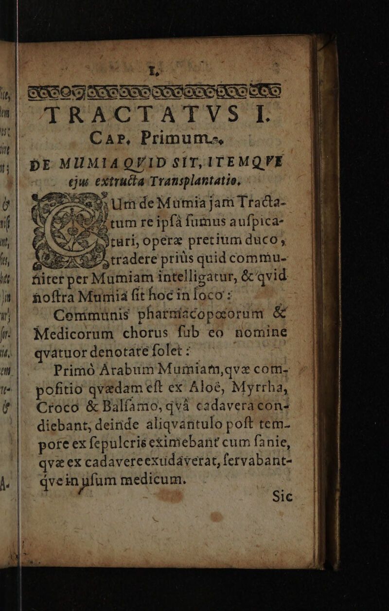 TlRACTATVS IL CAP, Primum», DE MIMIAQVID SIT, ITEMQPE . ejus extructa Transplantatio, e eet Urn deMumiajam Tradta- 9A mm re ipfà fumus aufpica- S5 E ^ : s (e. turi; opera pretium duco, AP 7:47 tradere priis quid commu- füterper Mumiam intelligatur, &amp;' qvid hoftra Mumia fit hoc in loco : Cemimuünis pharmidcopoctorum &amp; Medicorum chorus fub eo nomine qvatuor denotate folet 5. Primó Arabum Mumiam,qve com. pofitio qvedam eft ex Aloé, Myrrha, Croco &amp; Balíamo, qvà cadaveracon- diebant; deiride aliqvantulo poft tem- pote ex fepulcrie eximiebant cum fanie, qva ex cadavere exudavetat, fervabant- qve in ufum medicum. Sic