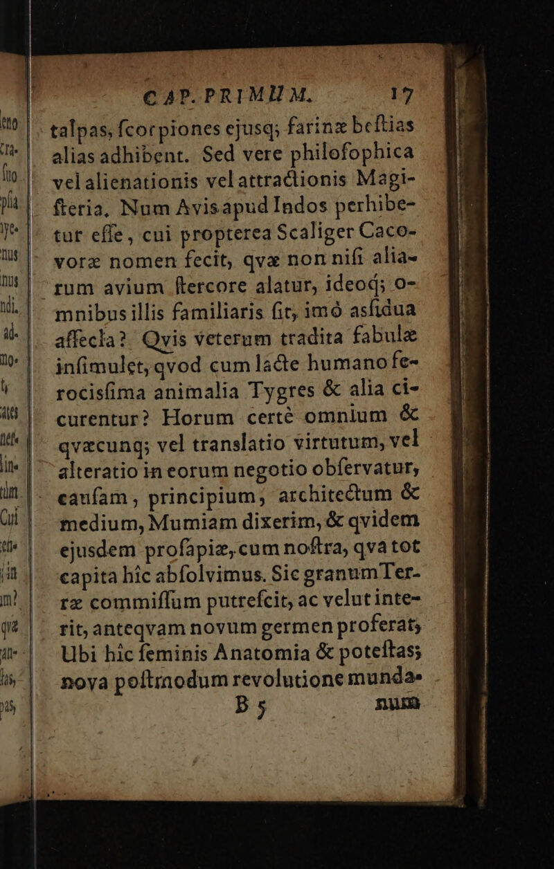 talpas, fcorpiones ejusq; farinz beítias alias adhibent. Sed vere philofophica velalienationis velattractionis Magi- fteria, Num Avisapud Indos perhibe- tur effe, cui propterea Scaliger Caco- vorz nomen fecit, qvx non nifi alia- mnibus illis familiaris fit; imó asfidua affecla? Qvis veterum tradita fabulz infimulet, qvod cum ládte humano fe- rocisfima animalia Tygres &amp; alia ci- curentur? Horum certé omnium &amp; qvzcungq; vel translatio virtutum, vel alteratio in eorum negotio obfervatur, caufam , principium; architectum &amp; medium, Mumiam dixerim, &amp; qvidem ejusdem profapiz, cum noftra, qva tot capita hic abfolvimus. Sie granumTer- rz commiffum putrefcit, ac velut inte- rit, anteqvam novum germen proferat; Ubi hic feminis Anatomia &amp; poteftas; noya poftraodum revolutione munda» 2: num