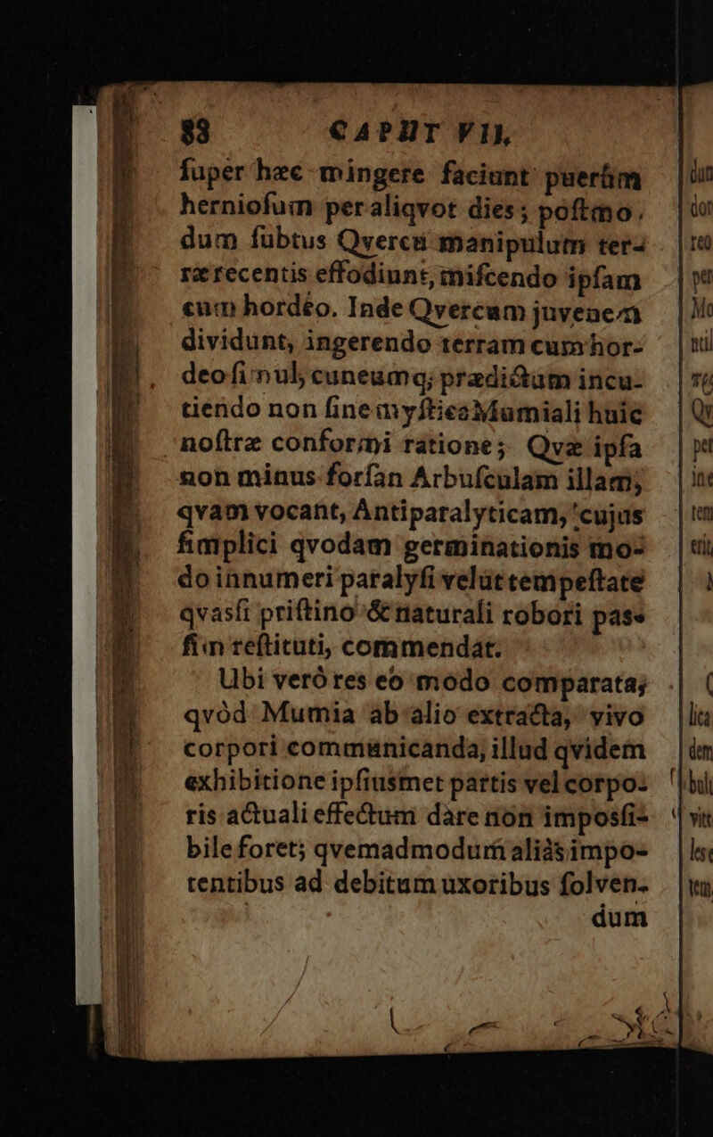 fuper hec- mingere faciunt puerüim herniofum peraliqvot dies; poftmo, dum fubtus Qverca- manipulum ter- ra recentis effodiunt, mifcendo ipfam cum hordéo. Inde Qvercam juvene dividunt, ingerendo terram cumhor- deofi ul cuneumg; predium incu- tiendo non finemyfticaMumiali huic noftre confor;i ratione; Qv ipfa 2on minus forfan Arbufculam illam; qvam vocant, Antiparalyticam, 'cujus fimplici qvodam germinationis mo- do innumeri patalyfi velüt tempeftate qvasft priftino'&amp; riaturali robori pase fiim reftituti, commendat. Ubi veró res eo modo comparata; qvod Mumia ab-alio extracta, vivo corpori communicanda, illud qvidem exhibitione ipfiusmet partis vel corpo: ris actuali effectum dàre nón imposfi- bileforet; qvemadmodurfi aliàsimpo- tentibus ad debitum uxoribus folven.