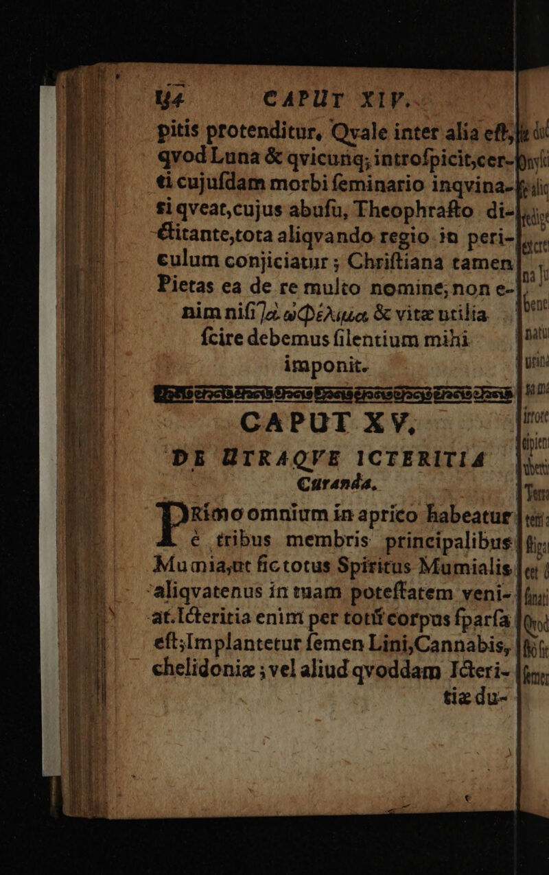 qvodLuna &amp; qvicunq; introfpicit,cer- £i qveat,cujus abufu, Theophra£&amp;o di- Gitante,tota aliqvando regio in peri- culum conjiciatur ; Chriftiana tamen ás nim nifiz equa &amp; vite utilia fcire debemus filentium mihi imponit. CAPUT XV, DE ÜTRAQVE ICTERITIA Curanda, pue omnium in aprico habeatur Mumia;ut fictotus Spiritus Mumialis at. Icteritia enim per toti corpus fparía eft;Implantetut femen Lini,Cannabis, chelidonia ; vel aliud qvoddam I&amp;eri- tie du-