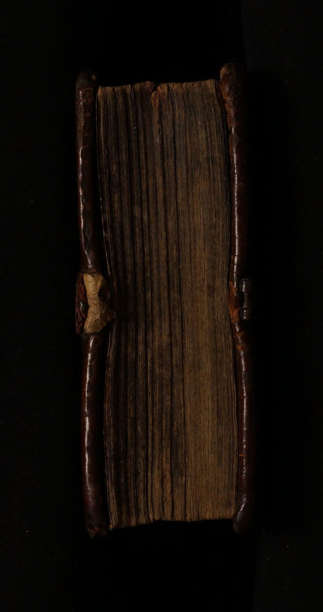 No text description is available for this image