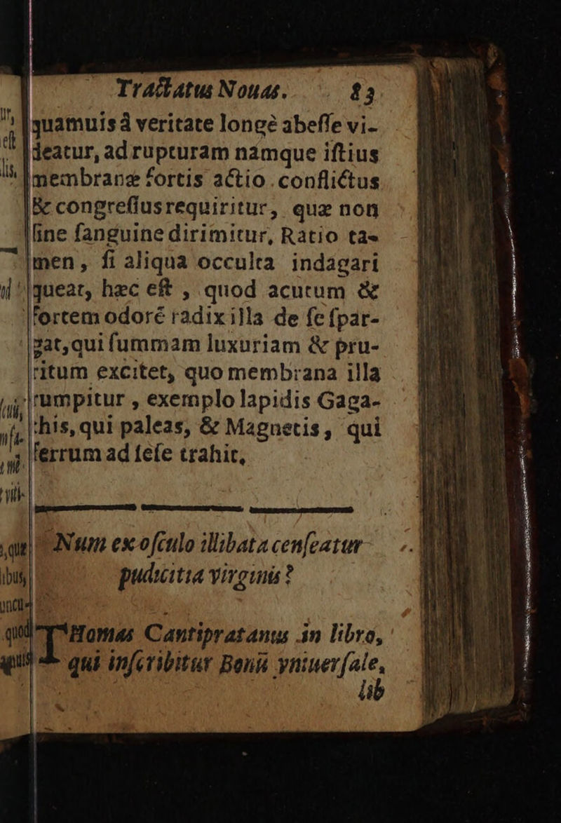 m guamuisà veritate longe abeffe vi-  deatur, ad rupturam namque iftius membrane fortis actio conflictus |B congreffusrequiritur, quz non line fanguine dirimitur, Ratio ta« [men, fi aliqua occulta indagari |guear, hec e£ , quod acutum &amp; |fortem odoré radix illa de fe fpar- '|gat,qui fummam luxuriam &amp; pru- ritum excitet, quo memb:ana illa jz|rumpitur , exemplo lapidis Gaga- ;his, qui paleas, &amp; Magnetis, qui ferrum ad fefe trahit, dncESGCe T SR EE NNI ONU escofculo illibata cen[eattum | puduitita virgini?