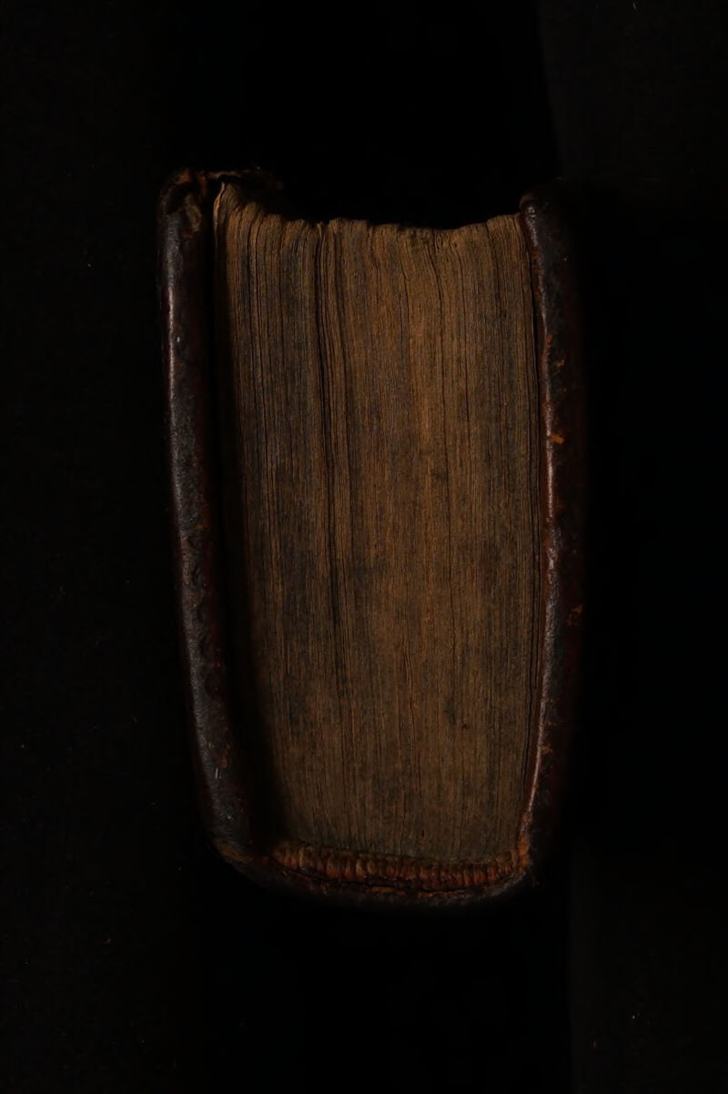 No text description is available for this image