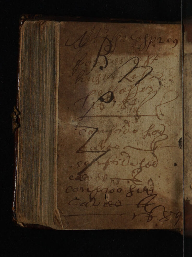 No text description is available for this image