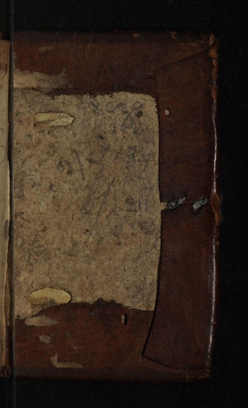 No text description is available for this image