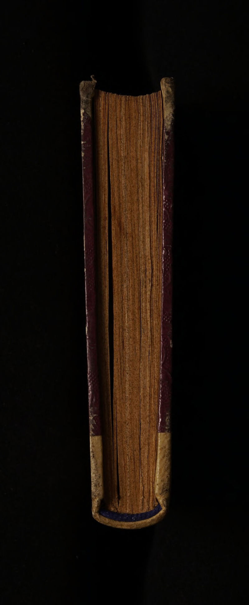 No text description is available for this image