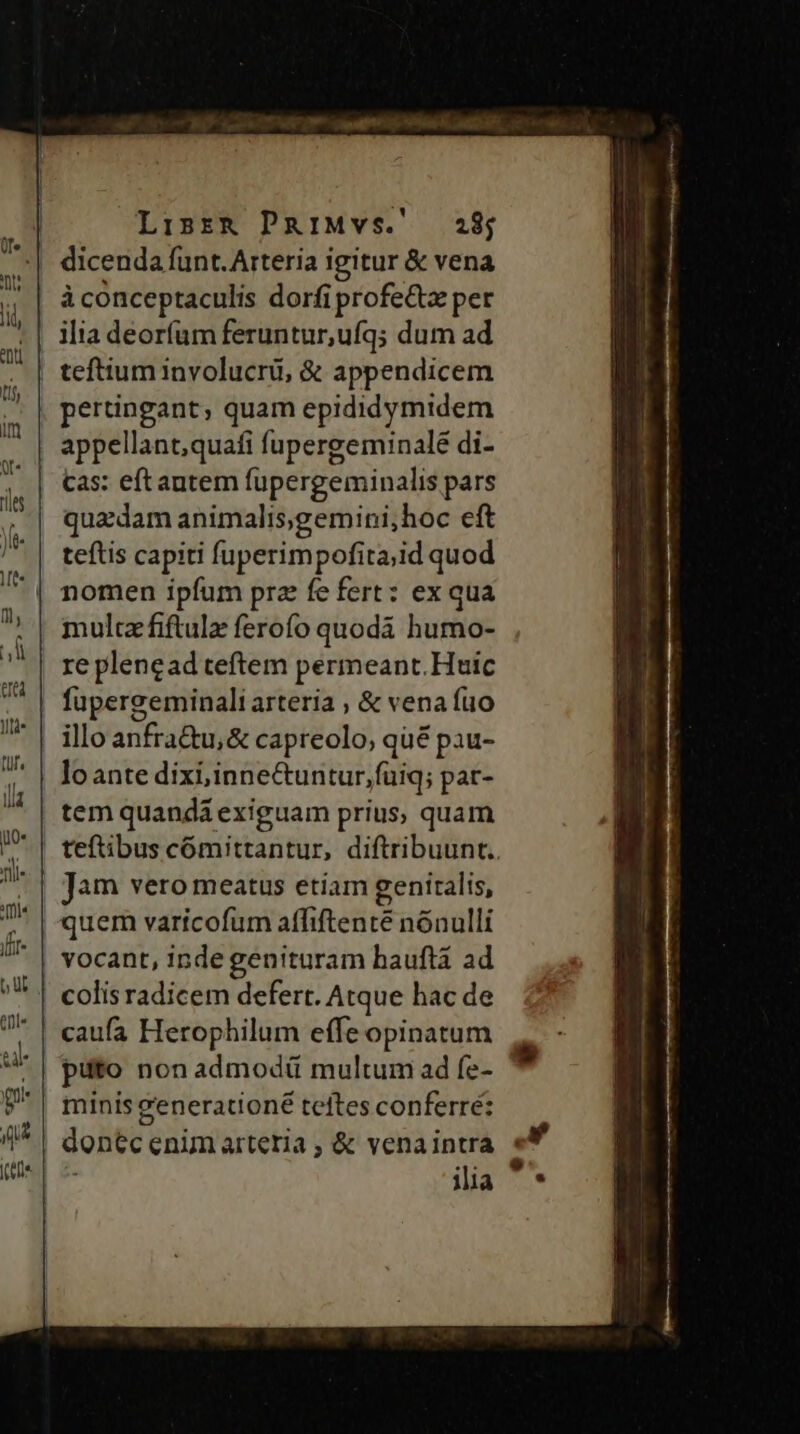 Lisr&amp; PRiMvs.' 28; dicenda funt. Arteria igitur &amp; vena à conceptaculis dorfiprofe&amp;tz per ilia deorfum feruntur,ufq; dum ad teftium involucrü, &amp; appendicem pertingant, quam epididymidem appellant, quafi fupergeminalé di- Cas: eft antem fupergeminalis pars quadam animalis;gemini,hoc eft teftis capiti fuperimpofita;id quod nomen ipfum prz fe fert: ex qua multz fiftulz ferofo quodà humo- Til TUE frr- b UL tni« tl p n fupergeminali arteria ; &amp; vena fuo Jam vero meatus etiam genitalis, quem varicofum affiftente nónulli vocant, inde genituram hauftá ad colis radicem defert. Atque hac de minis &amp;'enerationé teftes conferré: dont enim arteria, &amp; venaintra ilia €— M d e — — Á— - ——Ào— M i P Pt t MÀ À Sei