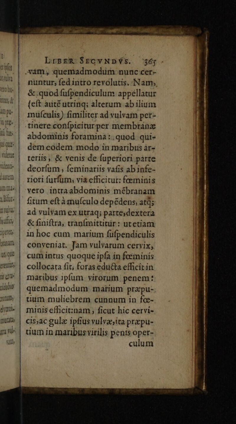 4, DIOT« erentül n Que dddubio TOUS diro. Qmutatà i nl CT Lrszm SEcCvNDYs. 36; &amp; quod fufpendiculum appellatur (eft arité utrinq; alterum ab ilium mufculis) fimiliter ad vulvam per- abdominis foramina :. quod. qui- dem eodem modo in maribis ar- teris, &amp; venis de fuperiori parte deoríum , feminariis vafis ab infe- riori furfum; via efficitur: faeminis vero intraabdominis mébranam fitum eftà muículo depédens, atd; ad vulvam ex utraq; partesdextera &amp; finiftra, tranímittitür: utetiam in hoc cum marium fufpendiculis conveniat. Jam vulvarum cervix; cum intus quoque ipfa in foeminis collocata fit, foras educta efficit in maribus ipfum. virorum penem: quemadmodum marium prapu- tium muliebrem cunnum in fce- minis efficit:nam ; ficut hic cervi- cis;ac gula ipfius vulvaita prpu- culum