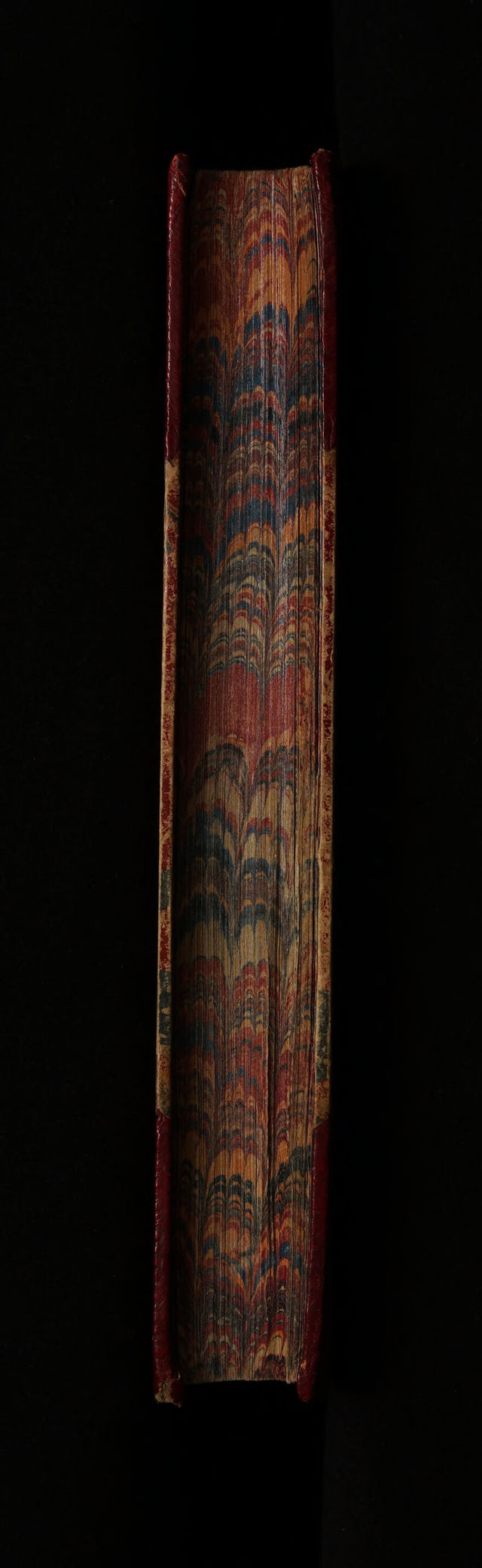 No text description is available for this image