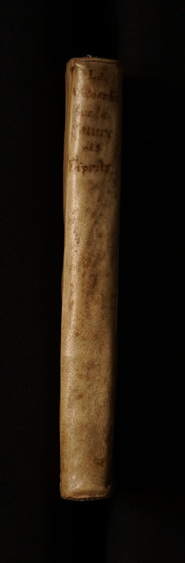 No text description is available for this image