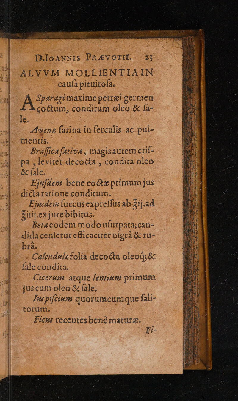 (c e VIN UNENNENC agente c^ OM CUM D.JoAawwis PmoevorIE. — 2j ALVVM MOLLIENTIAIN caufa pituitofa. Ave maxime petri germen : A coctum, conditum oleo &amp; fa- le. «tuena farina in ferculis ac. pul- tnentis. Bvaffica fativa , magisautem crif- pa , leviter decocta , condita oleo &amp; fale. Ejujdem bene codtz primum jus dictaratione conditum. j Ejuidein íuccusexpteffüsab 21j.ad Züijexjurebibitus. —— Betacodem modo ufurpata;can- dida cenfetur efficaciter nigrà &amp; ru- brá. - Calendulefolia decoQta oleoq;&amp; fale condita. Cicerum. atque lentium primum juscum oleo &amp; fale. Jus pifcium quorumcumque fali- torum, Fits recentes bené matura. EI