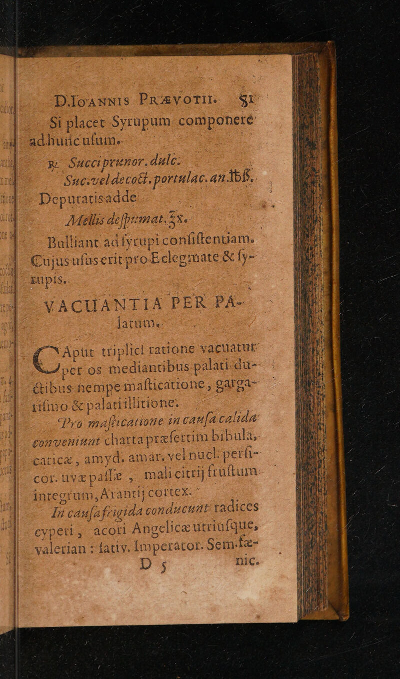 DlIoawwis PR voTH. Sr Si placet Syrupum . componere adhiuüculum. R: Succiptu £nor. dale: Suc-veldecott. gortulac. A. Ib. Deputa wisadde Adellzs de fpumat.55. Bulliant ad lycupi confiftenuam. Cujus ufüs crit pro-Eclegmate &amp;fy- güpis. ^ Apüt trip |ici ratione vaeuatut 'per os meduipus palati du- ibus hempe mafticauone , garga- rifivo &amp; palariilliione. — | cPyo malticatione in catt[a calida eyoeniun chanaprefe am bibu ias nca, amyd. at: ár, vel nucl perf d- uv p affe , mali citrij Eroftum. serui, j, Arant I! corte x: Ii caufa f igit da conducta: vadices cypeti, acori Anoclica utriüi (que; Ue fatlv. Imperator. Sem.fz- D $ Dic.